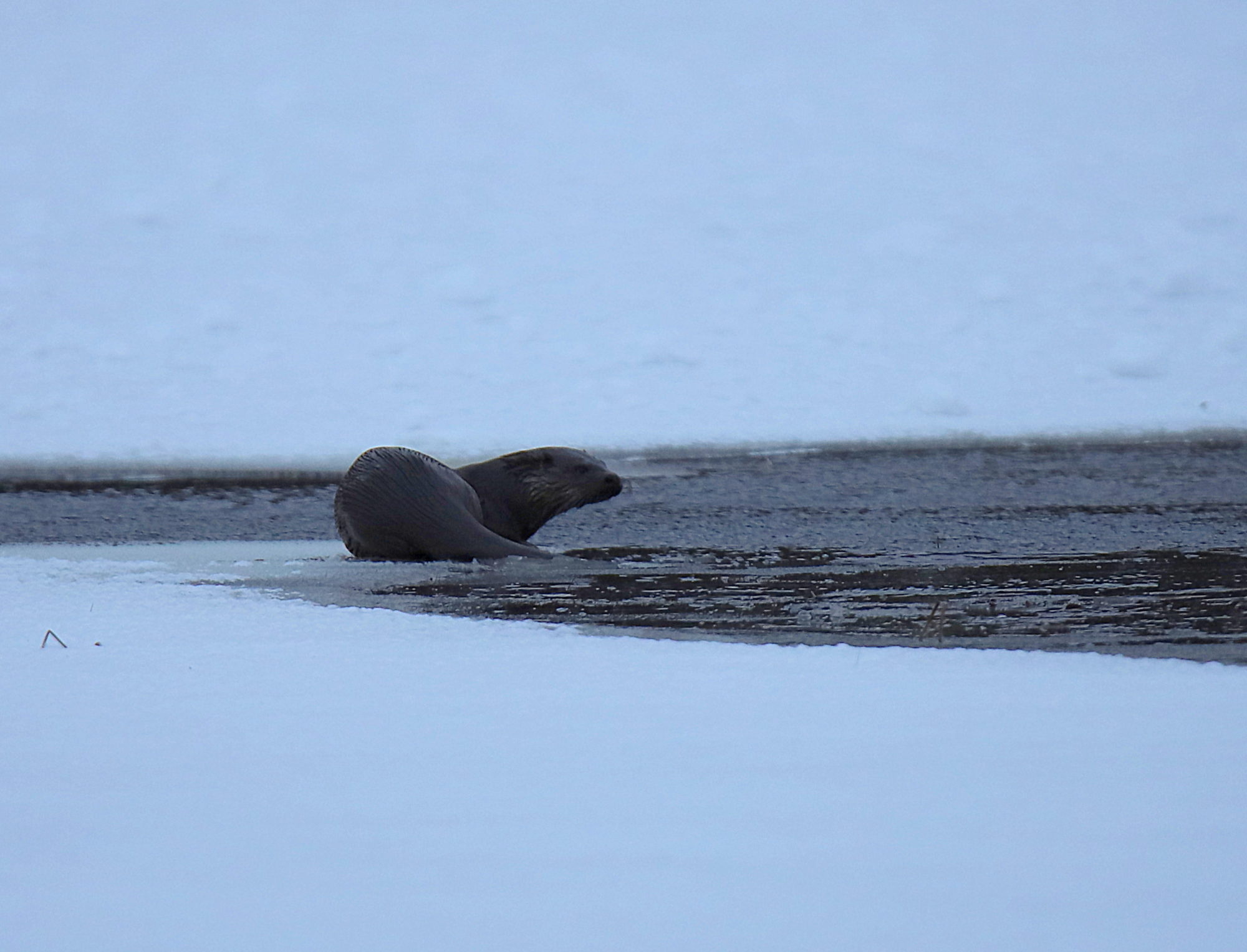 Valokuvaaja: sirpa jyske