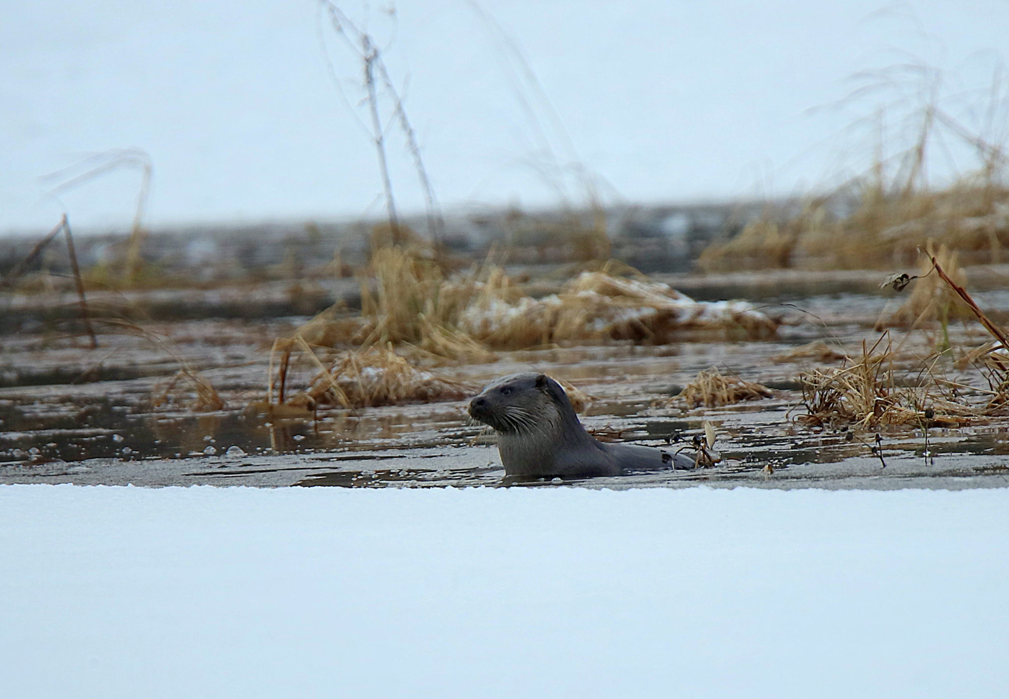 Valokuvaaja: sirpa jyske