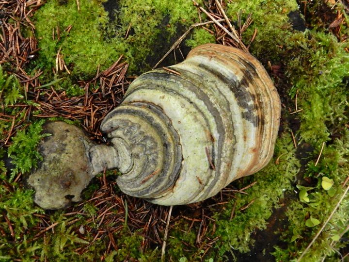 Valokuvaaja: Lasse Aho Valokuvaaja: Lasse Aho