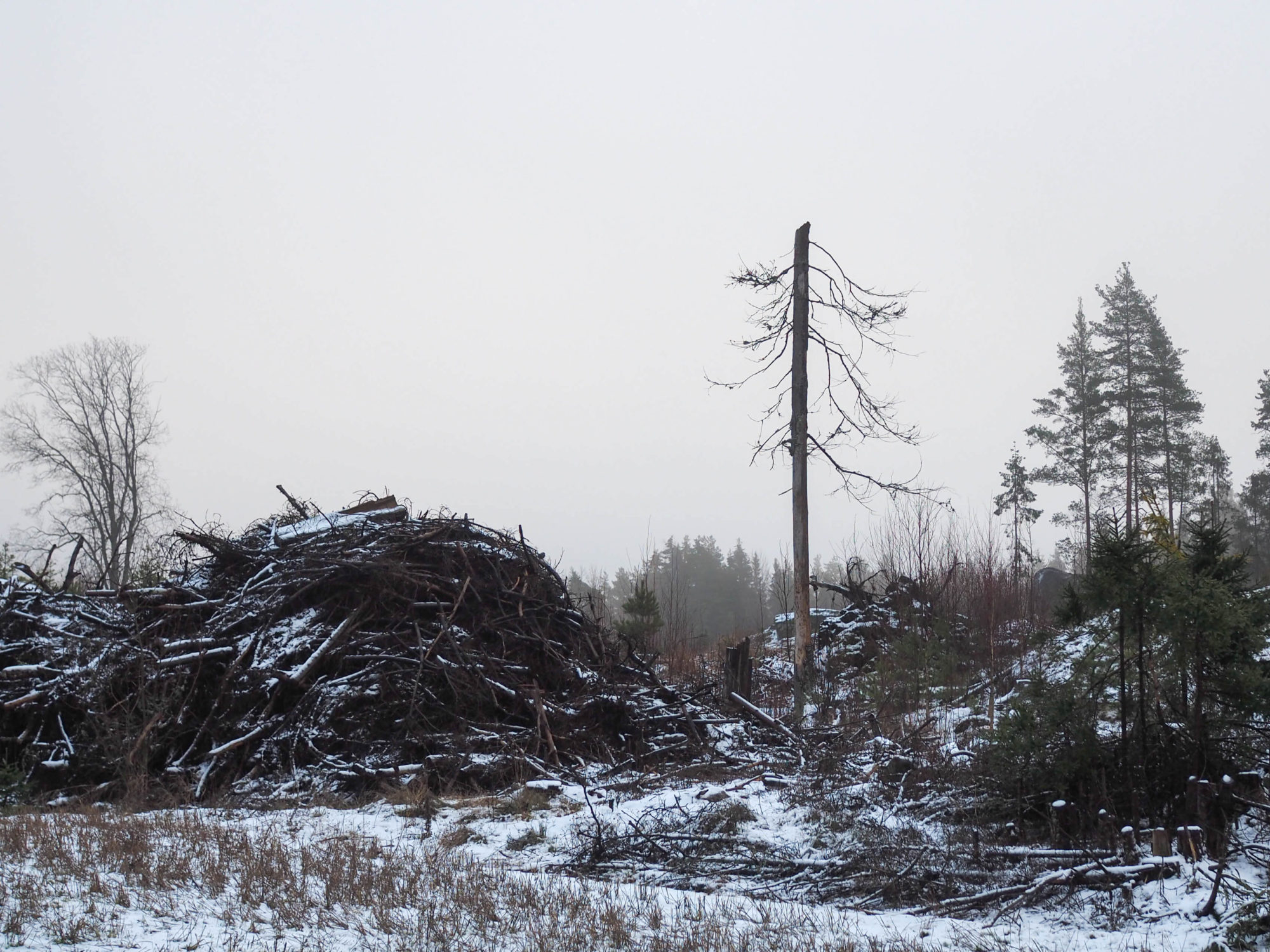 Valokuvaaja: Aki Jalava