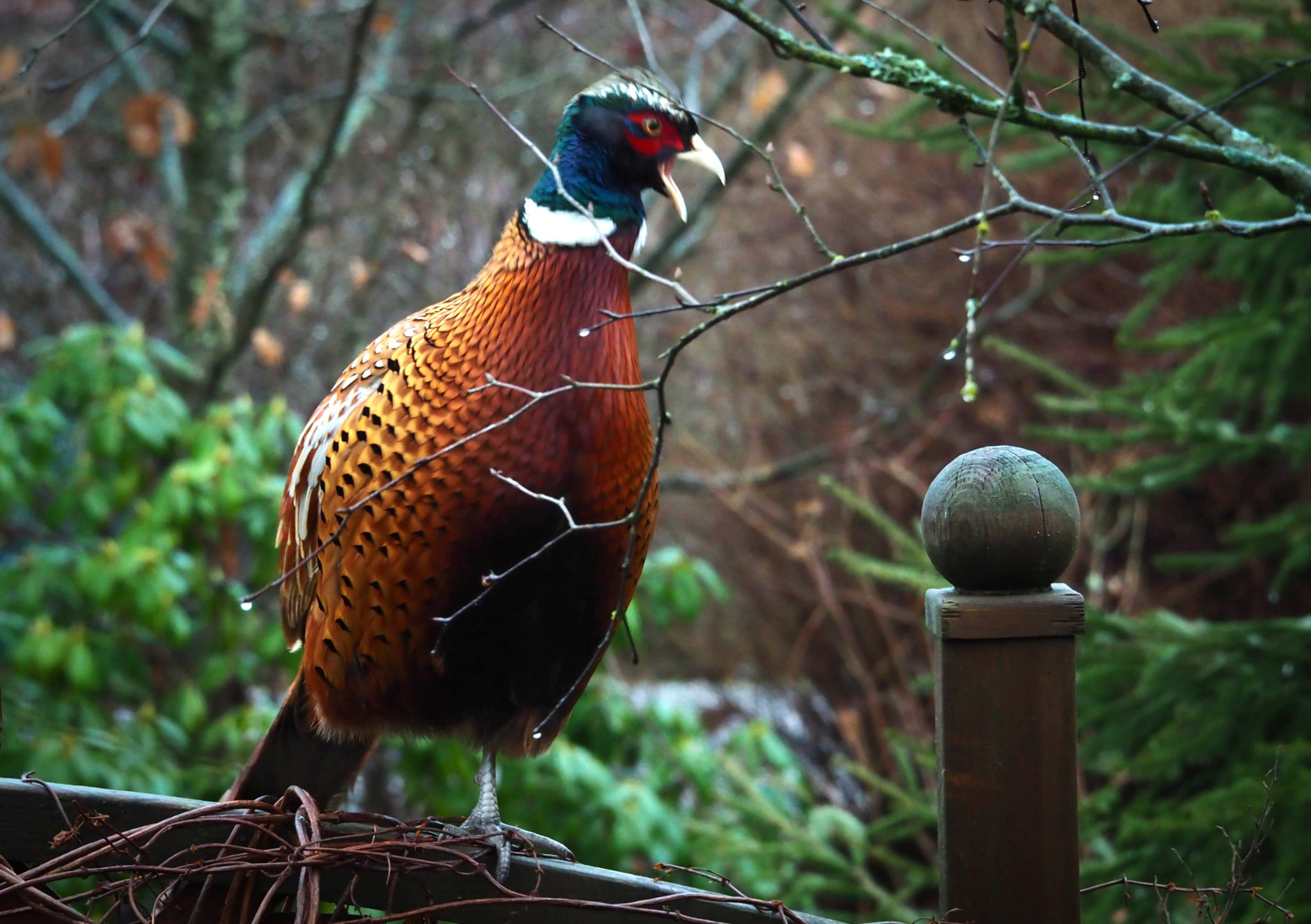 Valokuvaaja: Aki Jalava