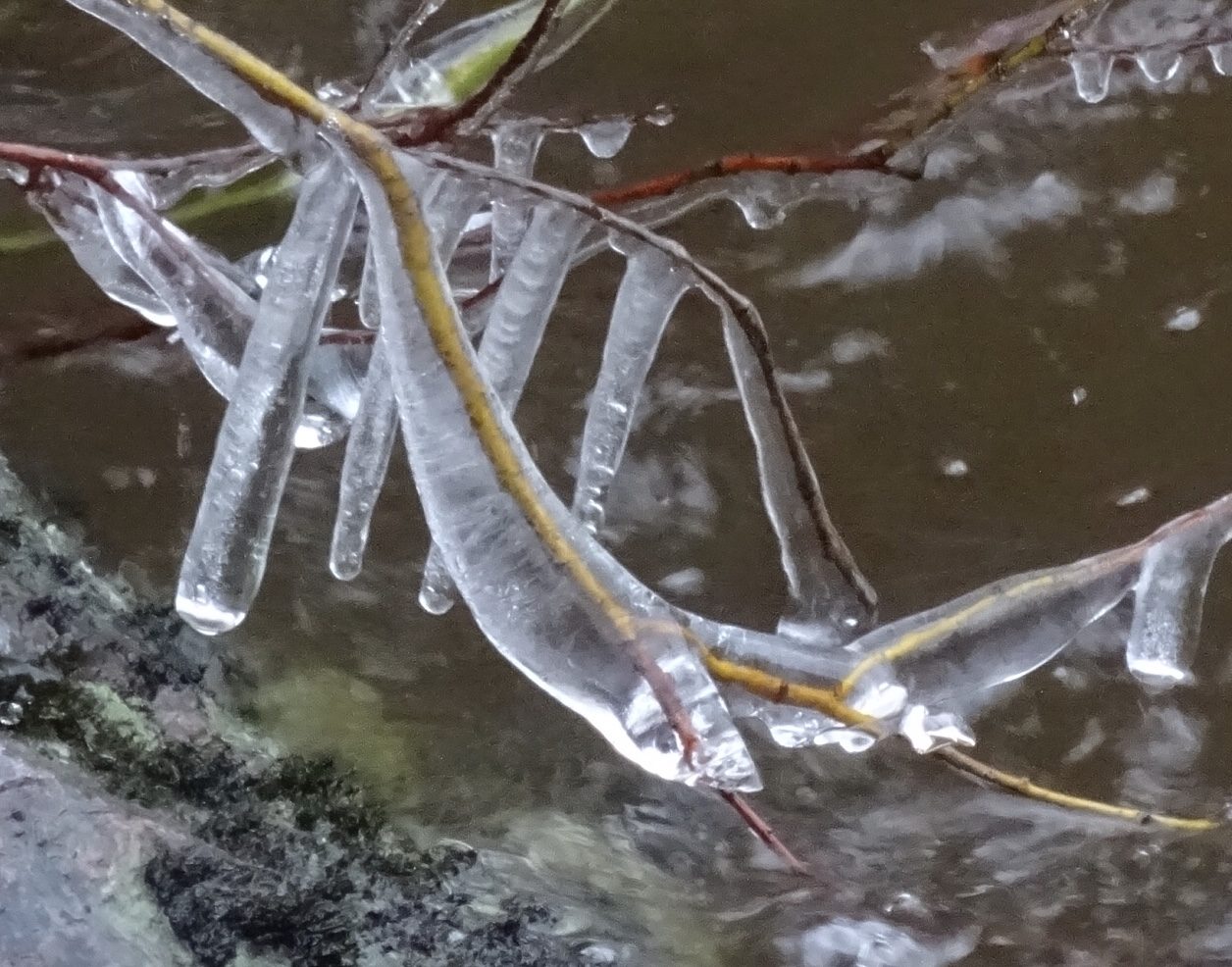 Valokuvaaja: Mira Rodas