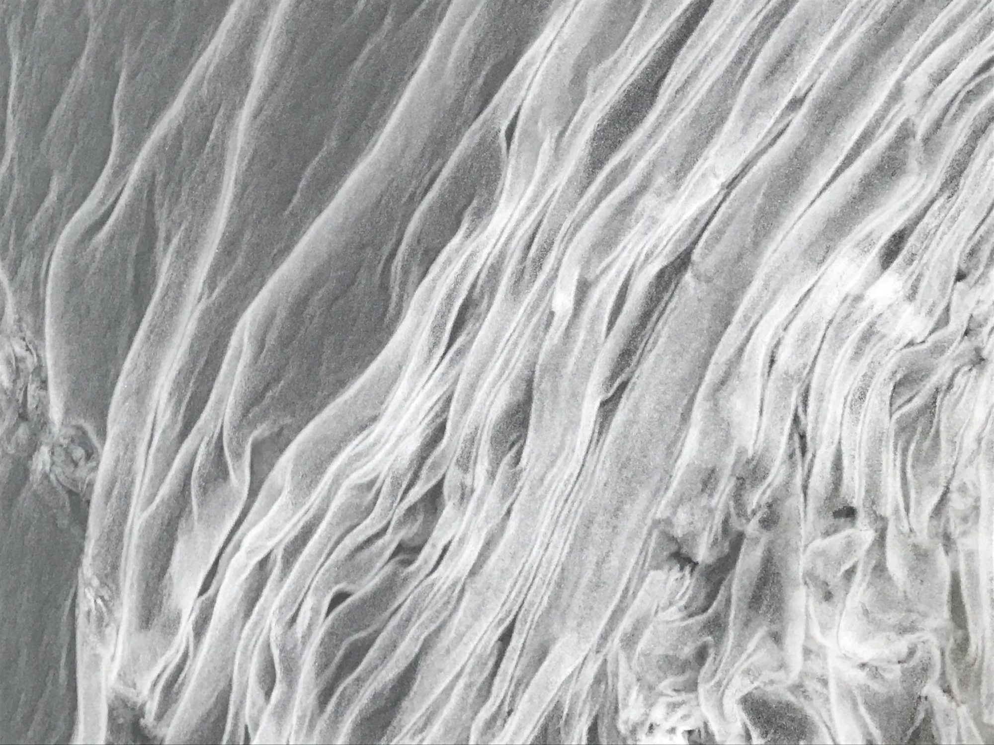 Valokuvaaja: Anne Patana