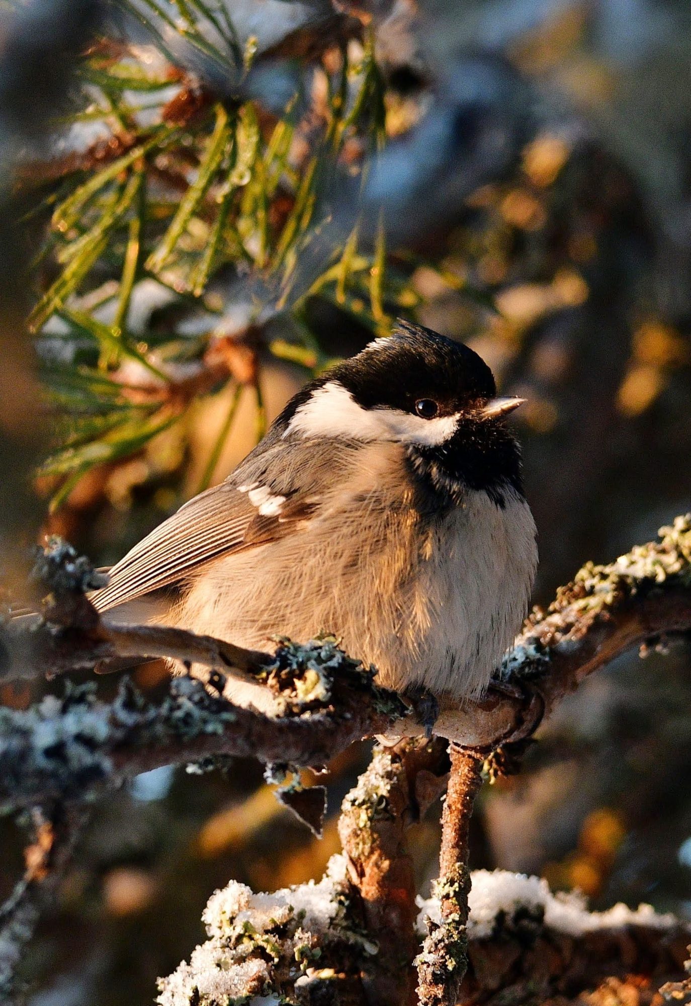 Valokuvaaja: Anne Tuovinen Valokuvaaja: Anne Tuovinen