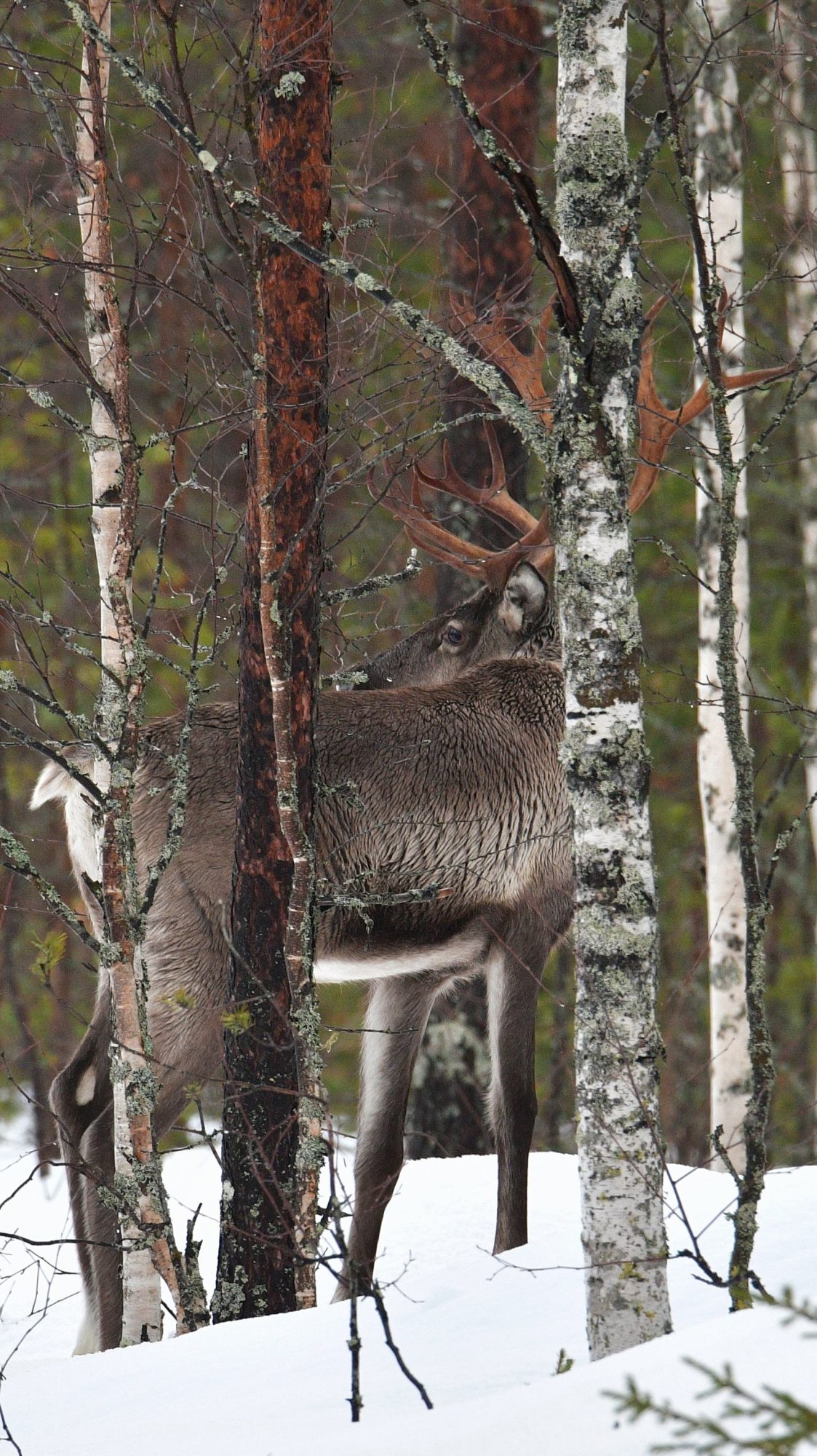 Valokuvaaja: Anne Tuovinen