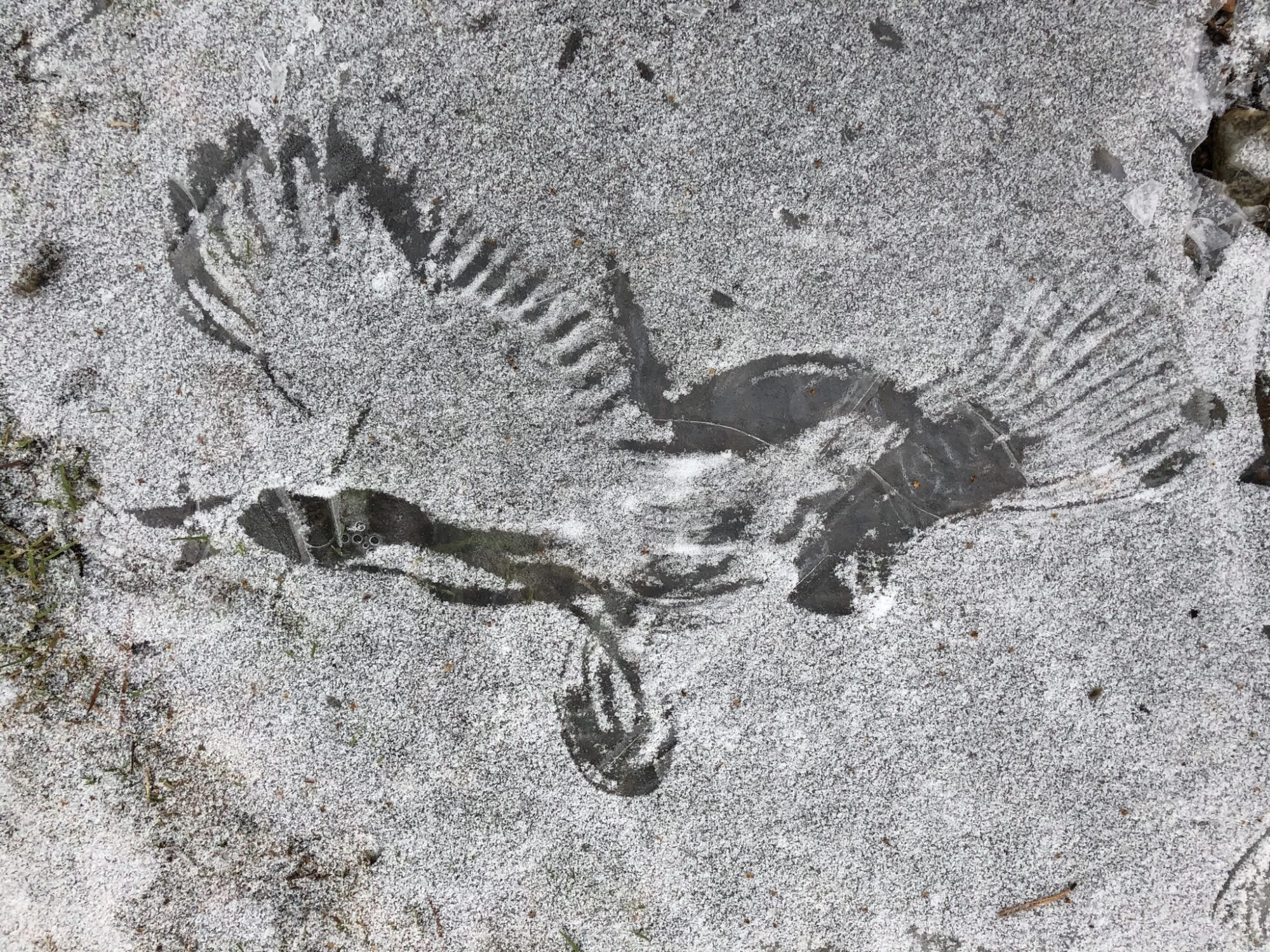 Valokuvaaja: Teija Halonen