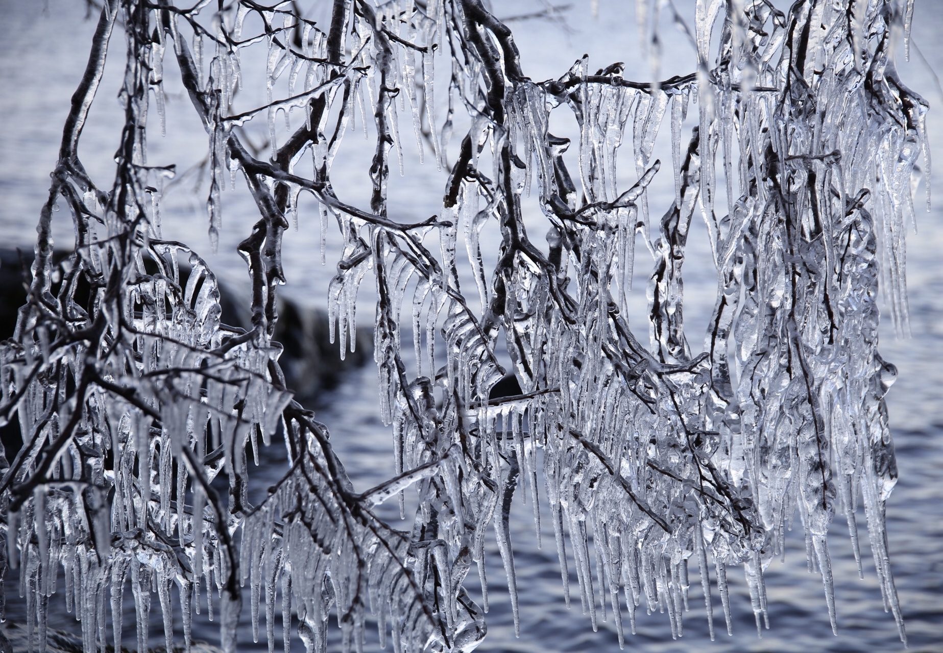 Valokuvaaja: Anne Patana