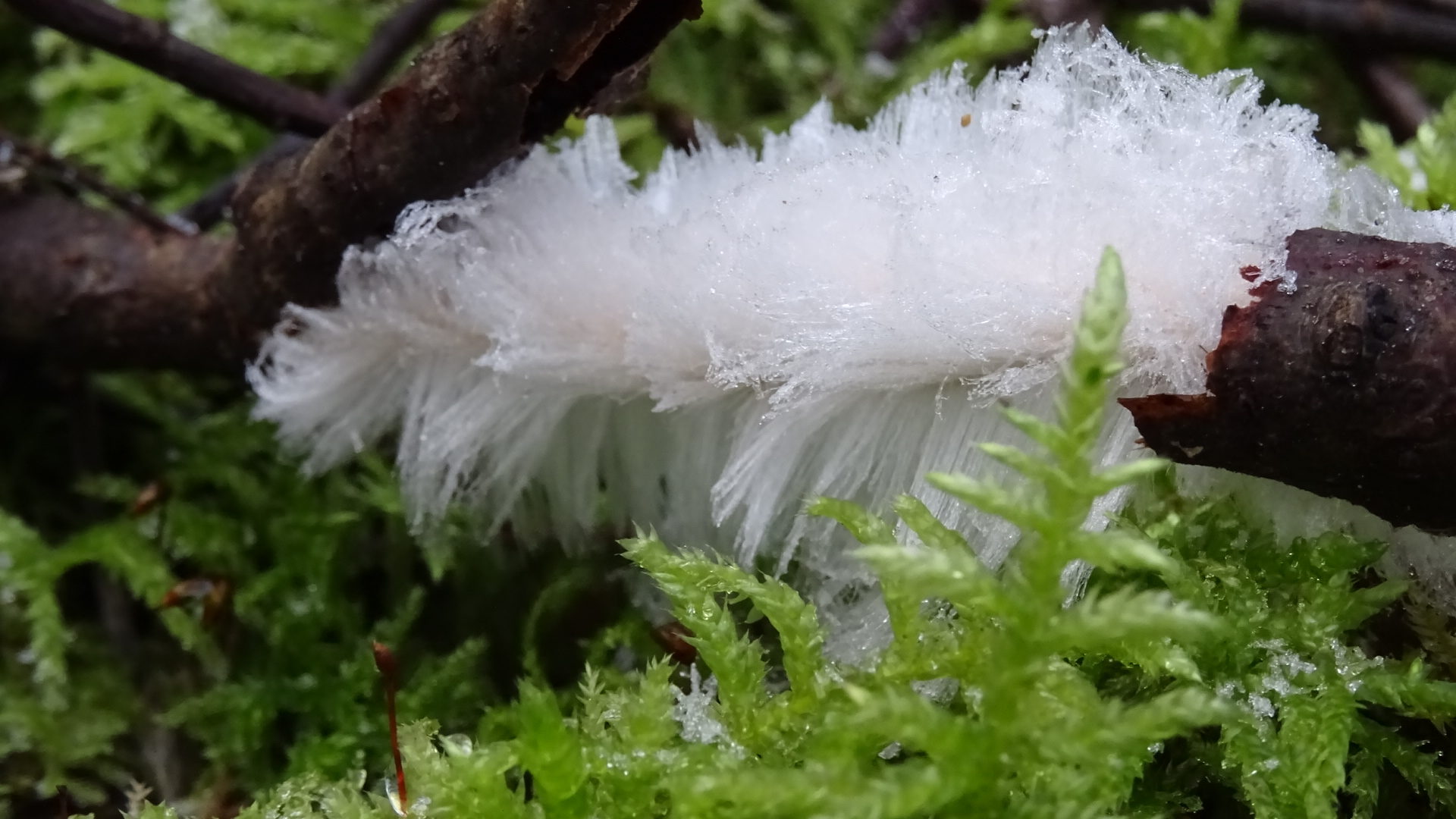 Valokuvaaja: Mira Rodas