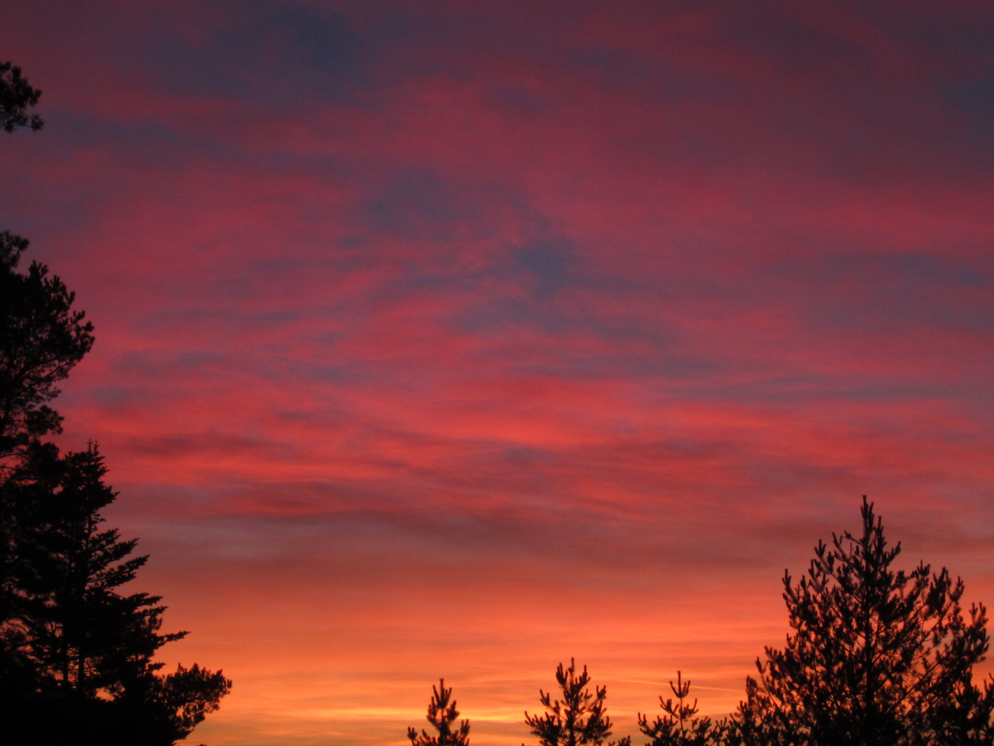 Valokuvaaja: Marita Portin