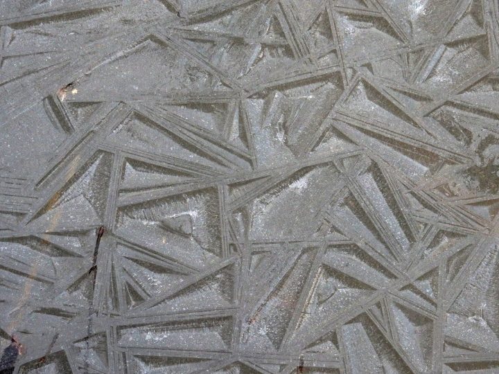 Valokuvaaja: Lasse Aho