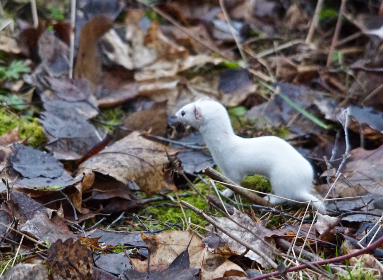 Valokuvaaja: Markku Ranta-Eilola