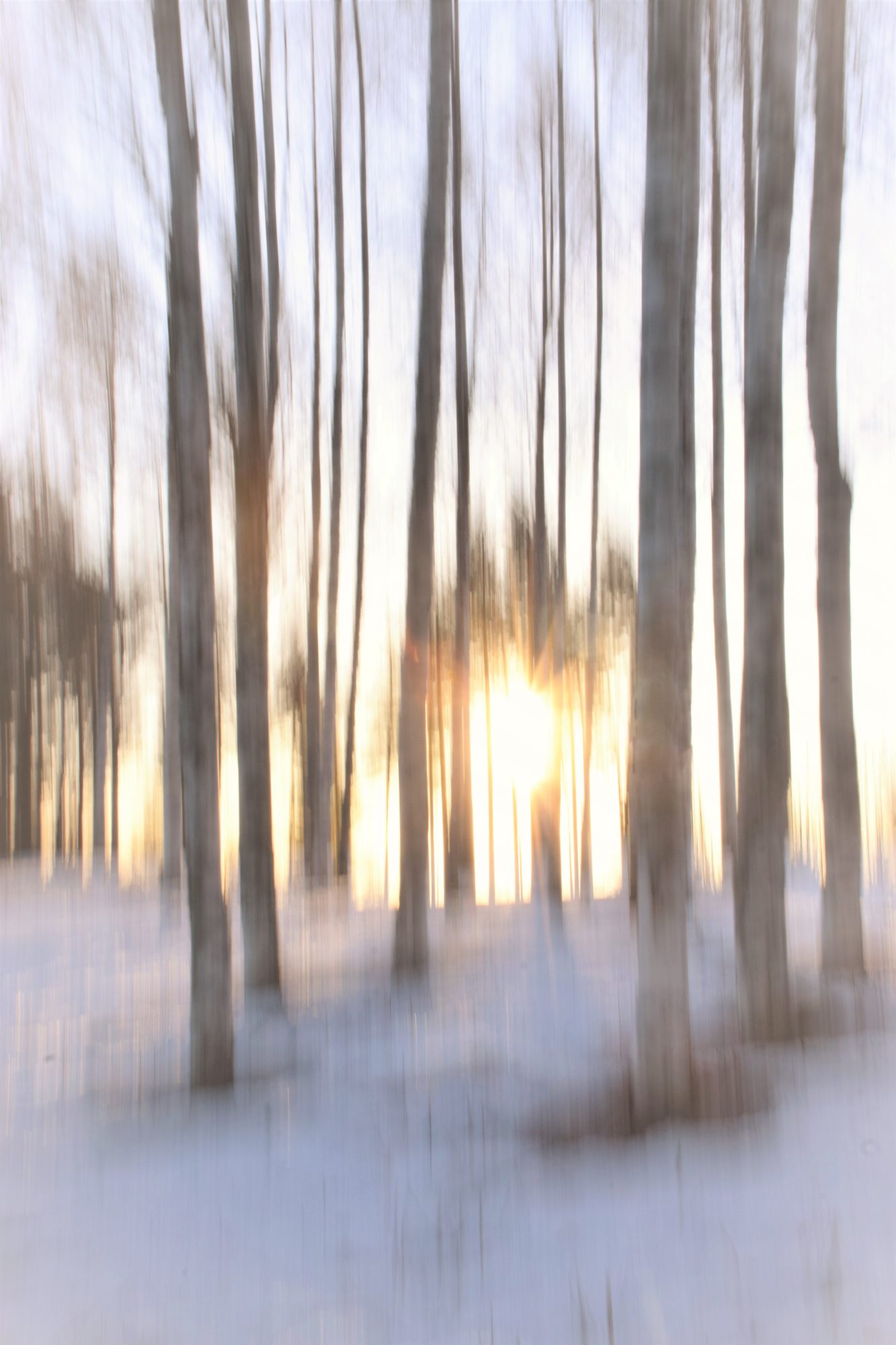 Valokuvaaja: Leena Rissanen