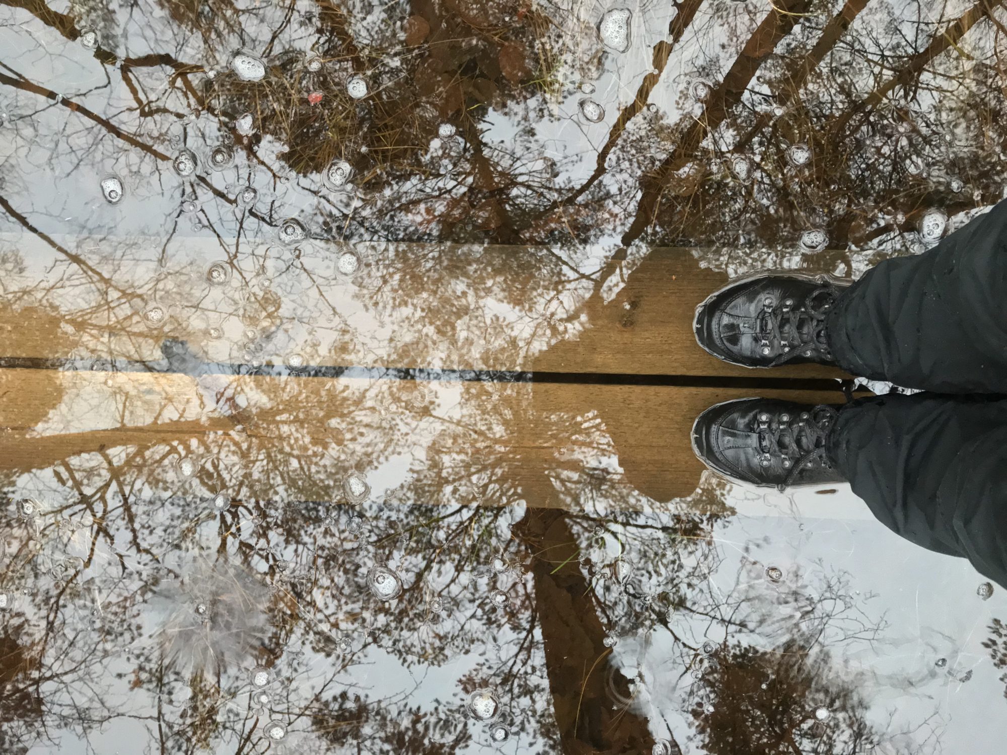 Valokuvaaja: Anne  Patana