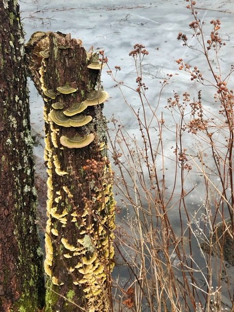 Valokuvaaja: Pirjo Kallio