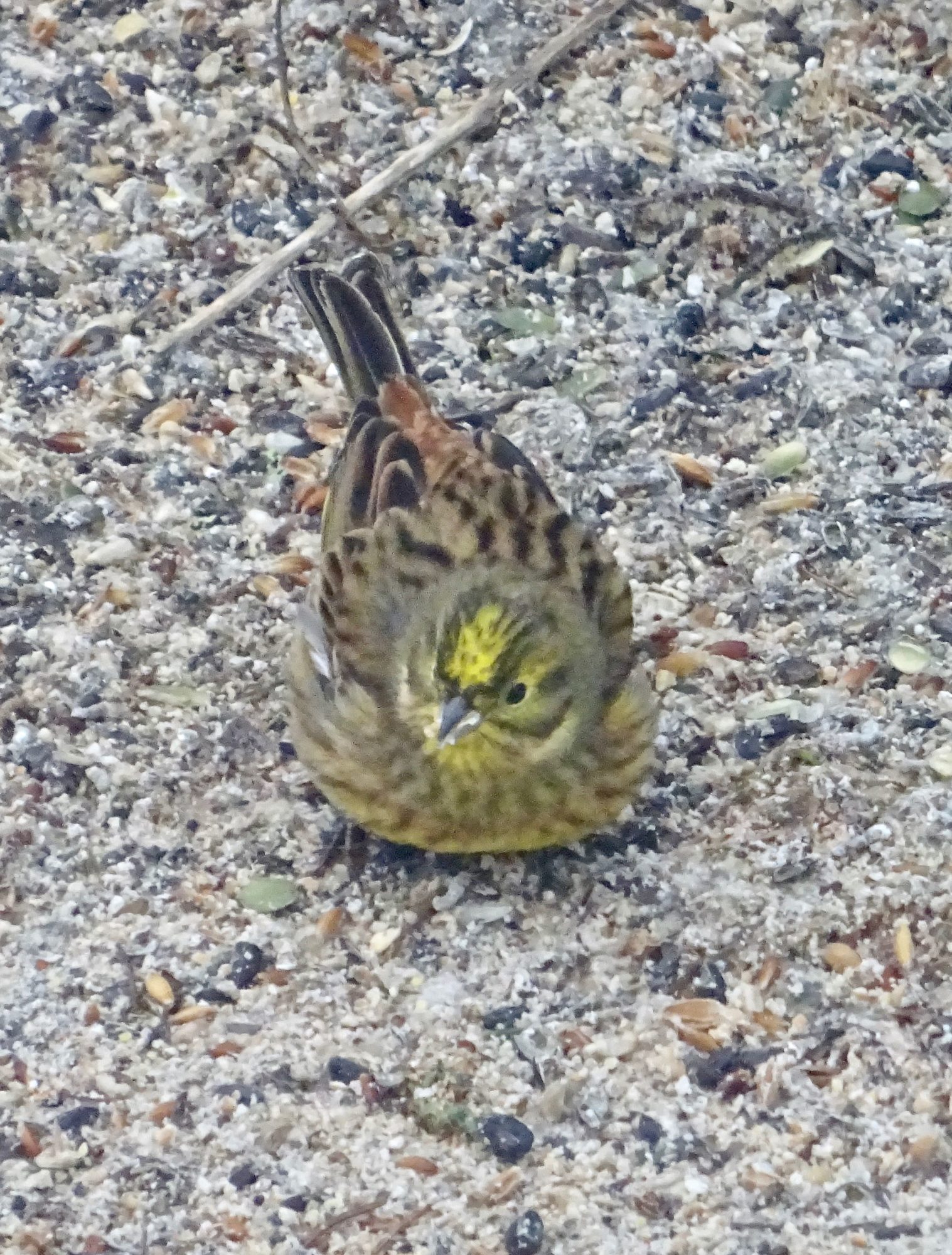 Valokuvaaja: Liisa Niiva-Korpela