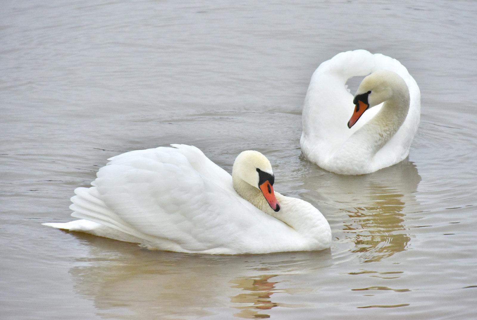 Valokuvaaja: Reijo Juurinen