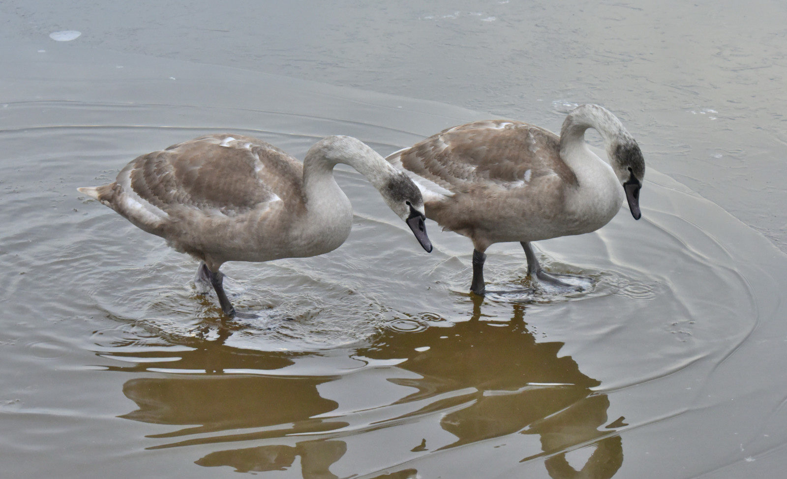 Valokuvaaja: Reijo Juurinen