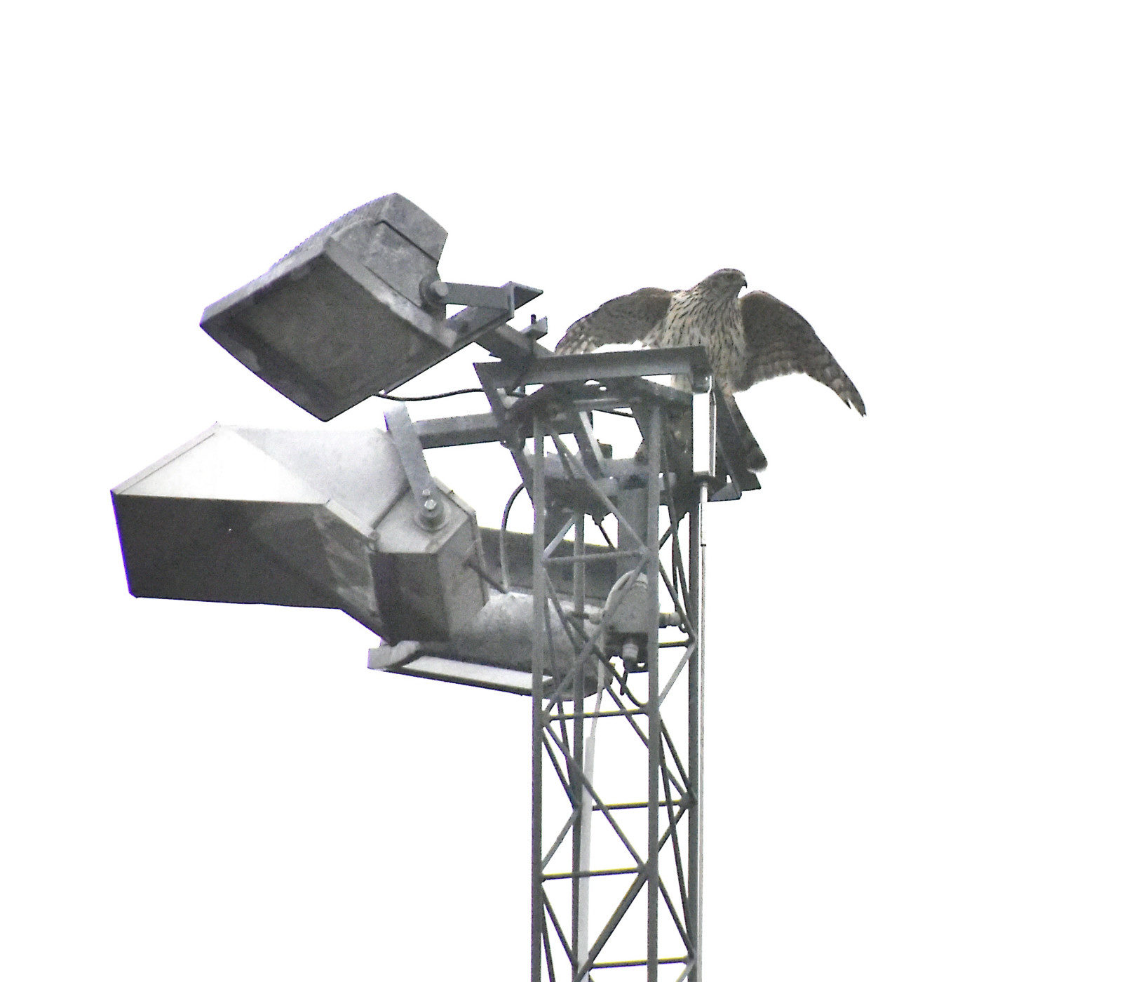 Valokuvaaja: Reijo Juurinen