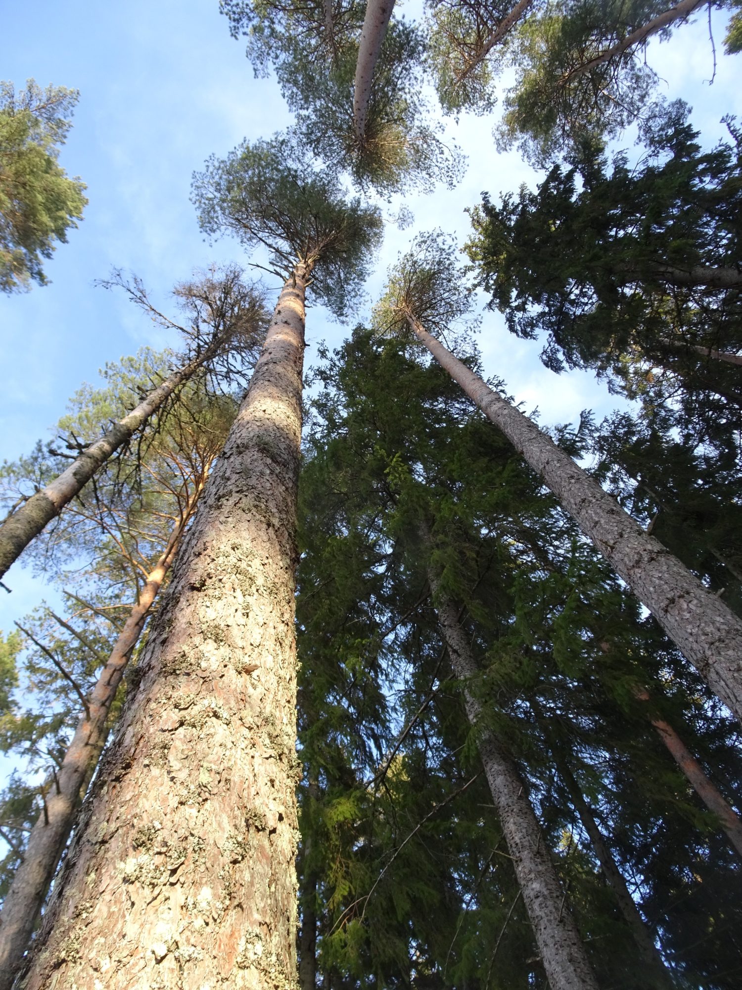 Valokuvaaja: Irja Lehtinen