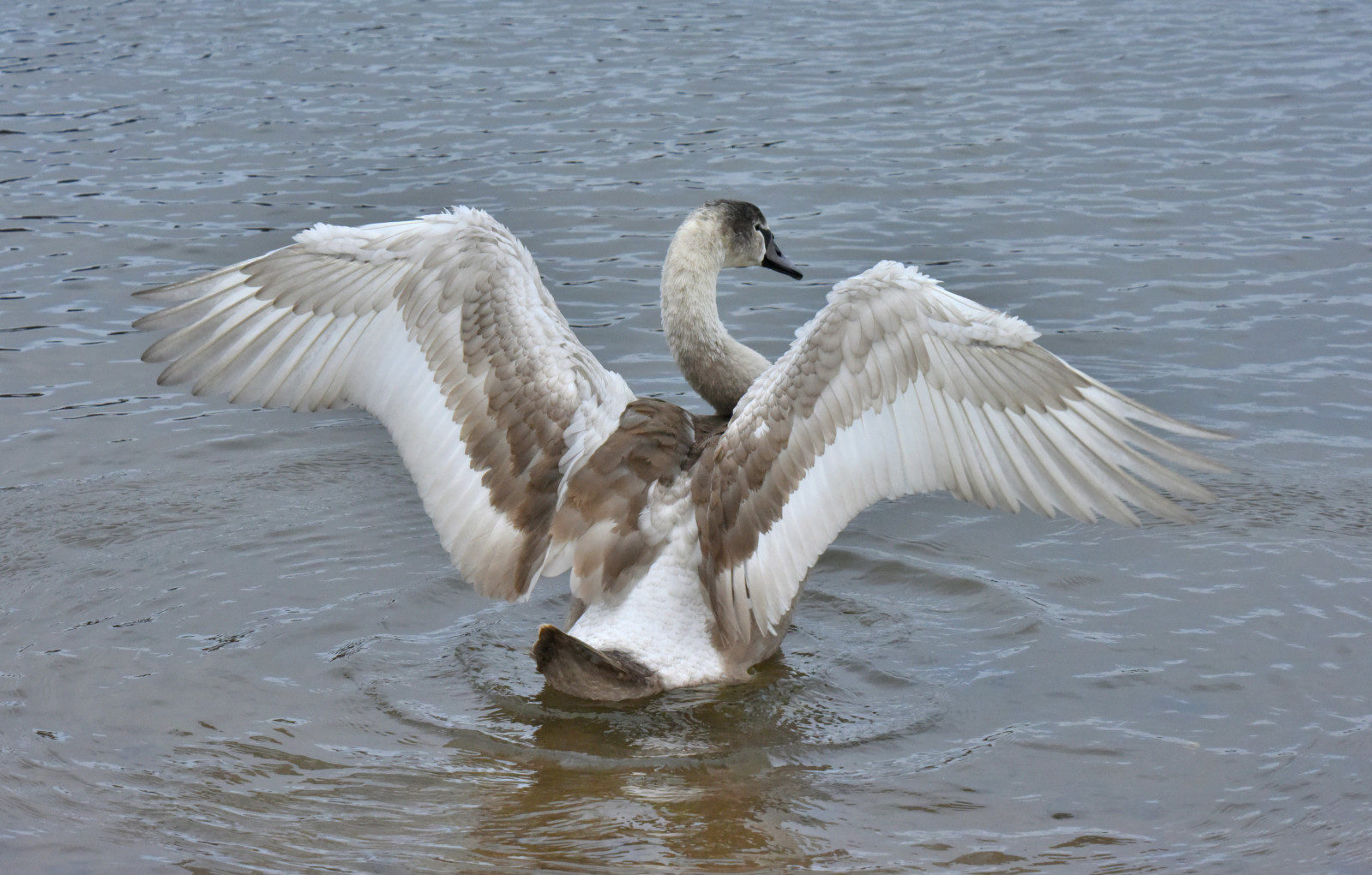 Valokuvaaja: Reijo Juurinen