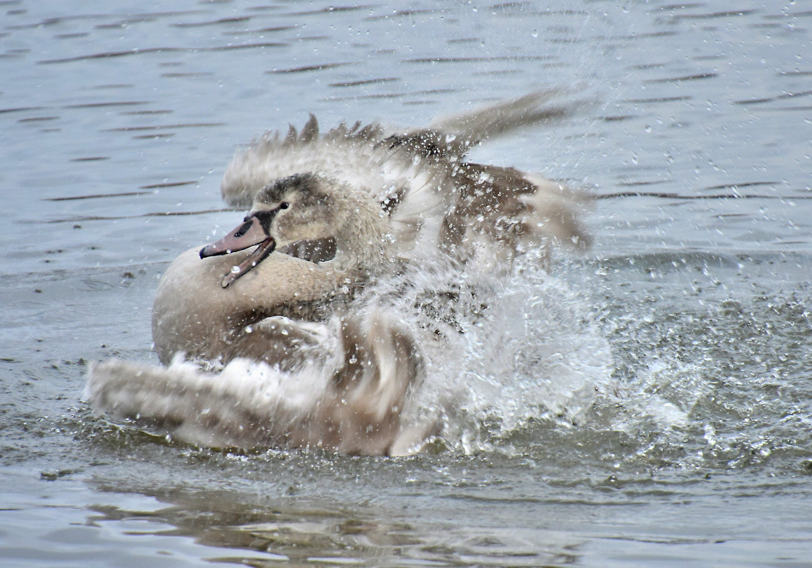 Valokuvaaja: Reijo Juurinen