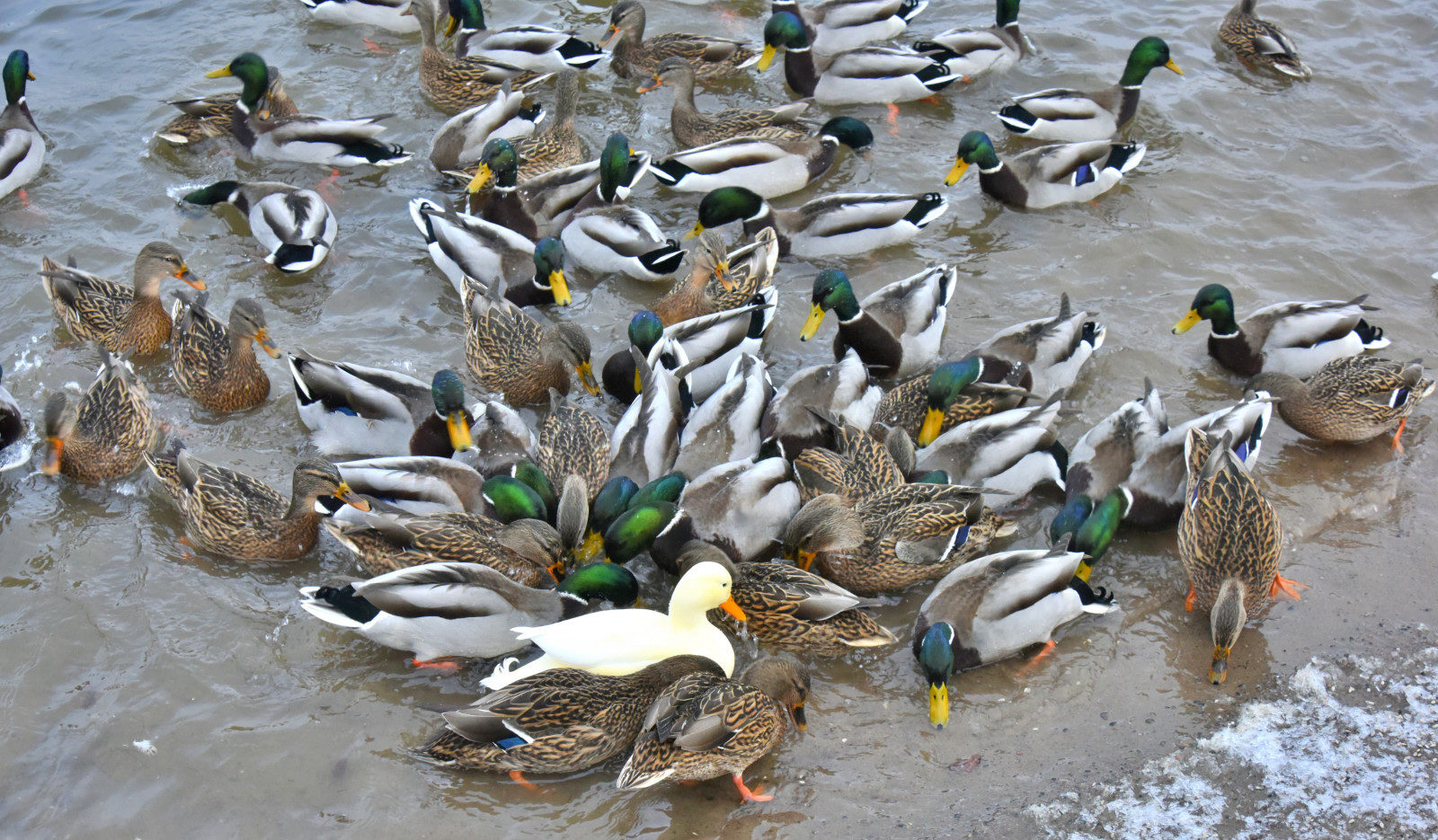 Valokuvaaja: Reijo Juurinen