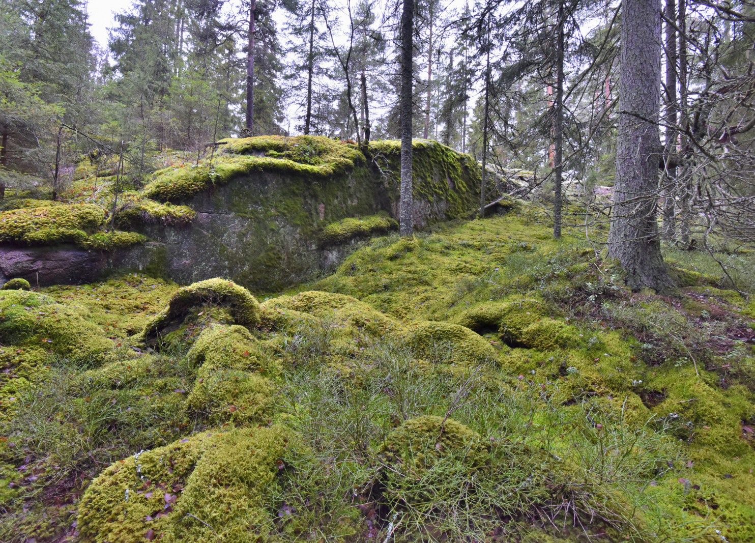 Valokuvaaja: Reijo Juurinen