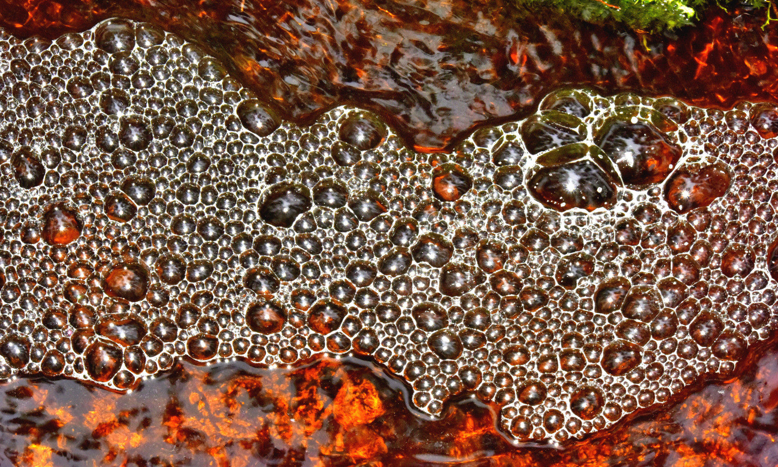 Valokuvaaja: Reijo Juurinen