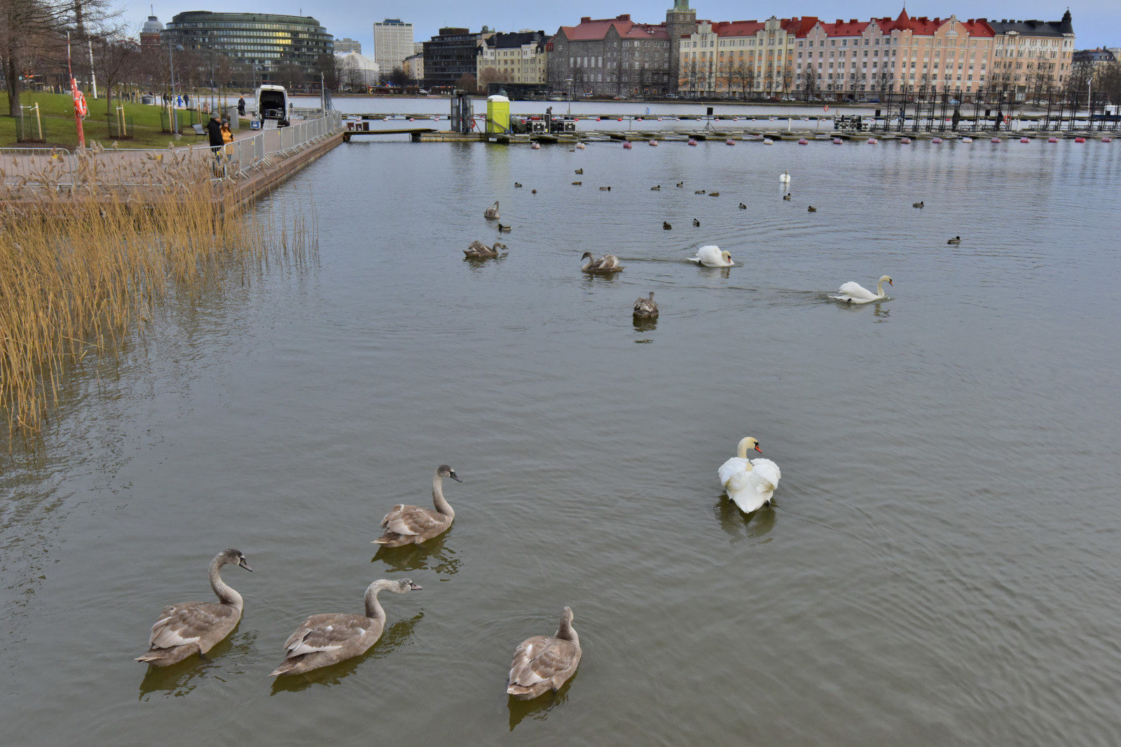 Valokuvaaja: Reijo Juurinen