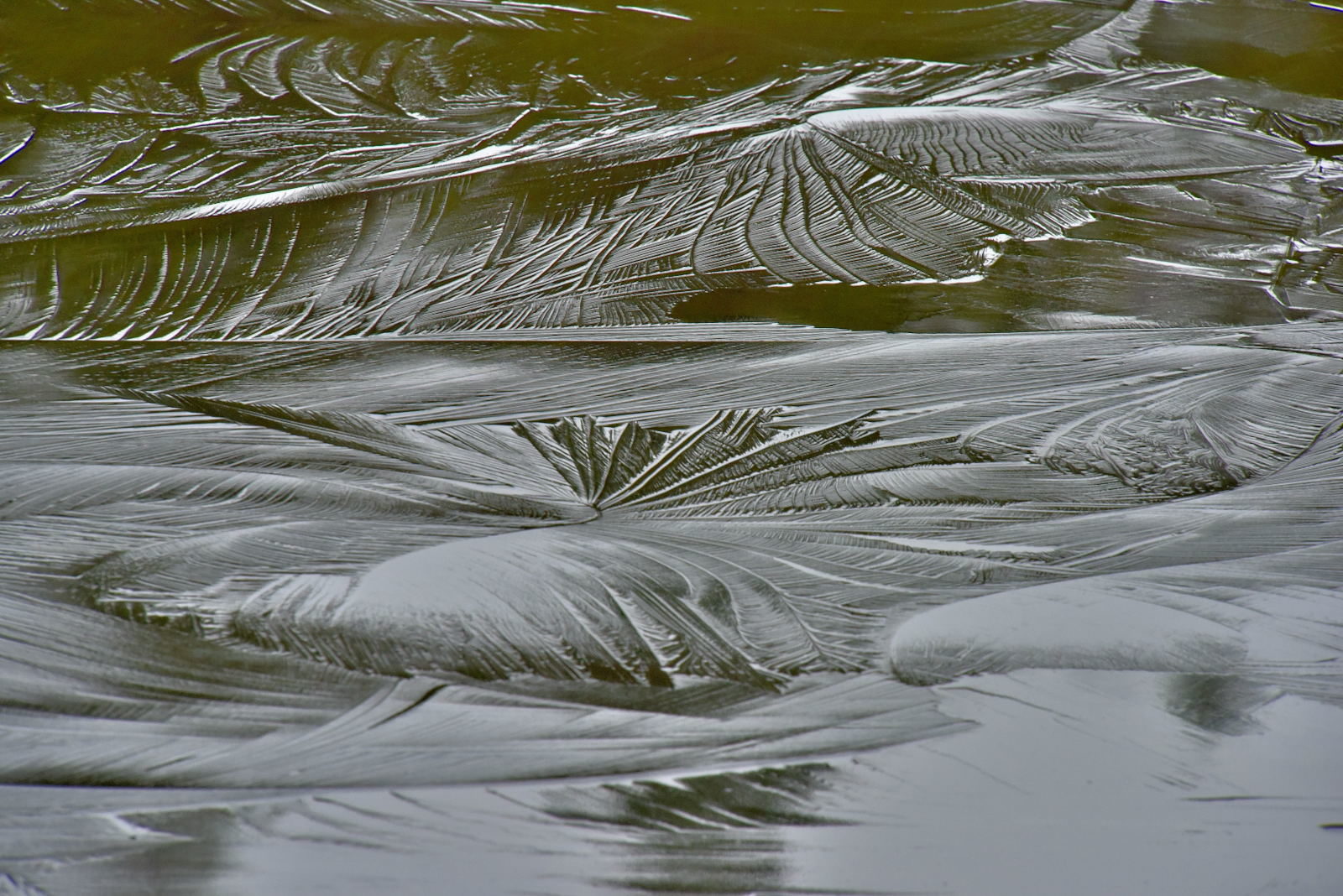 Valokuvaaja: Reijo Juurinen