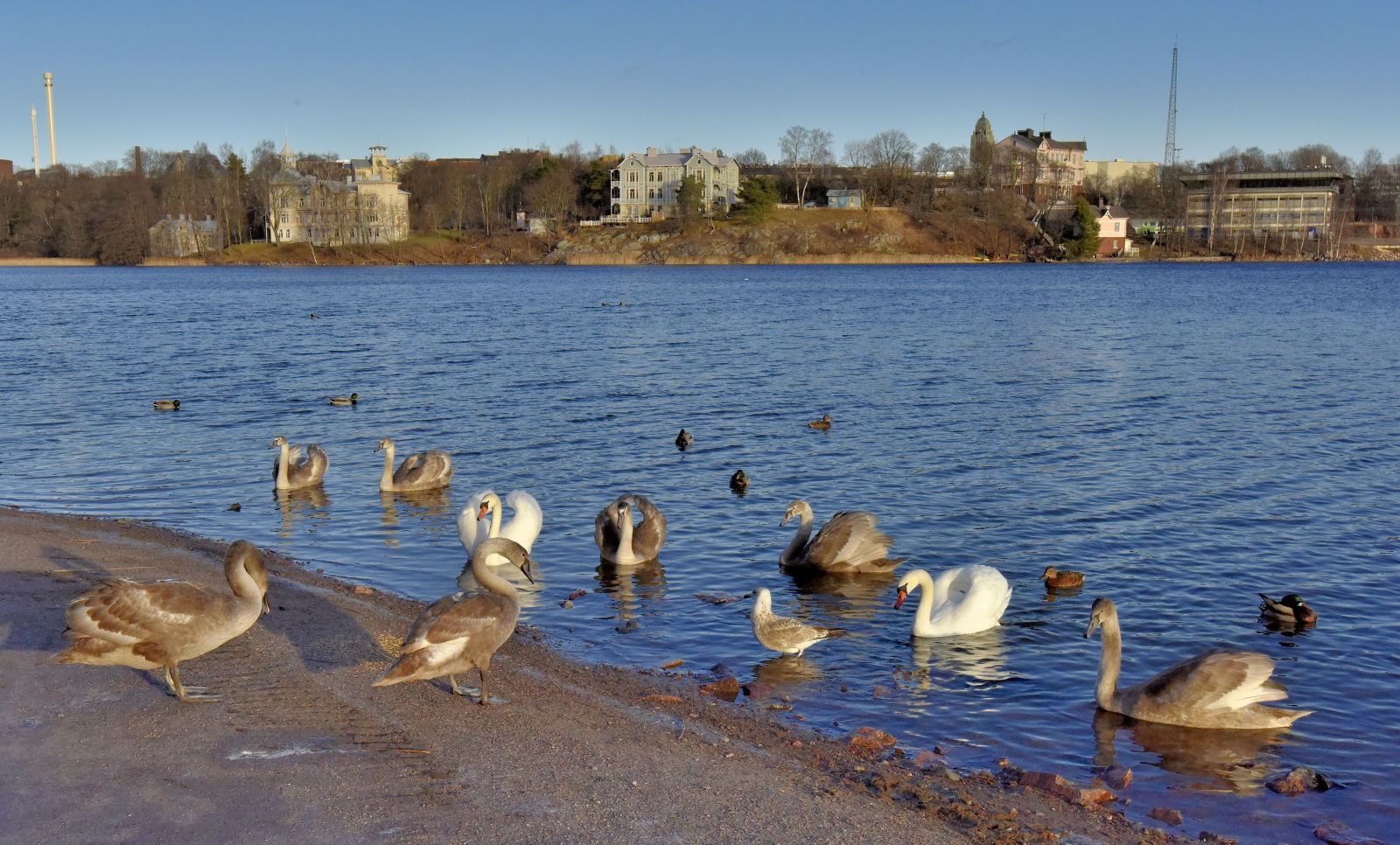 Valokuvaaja: Reijo Juurinen