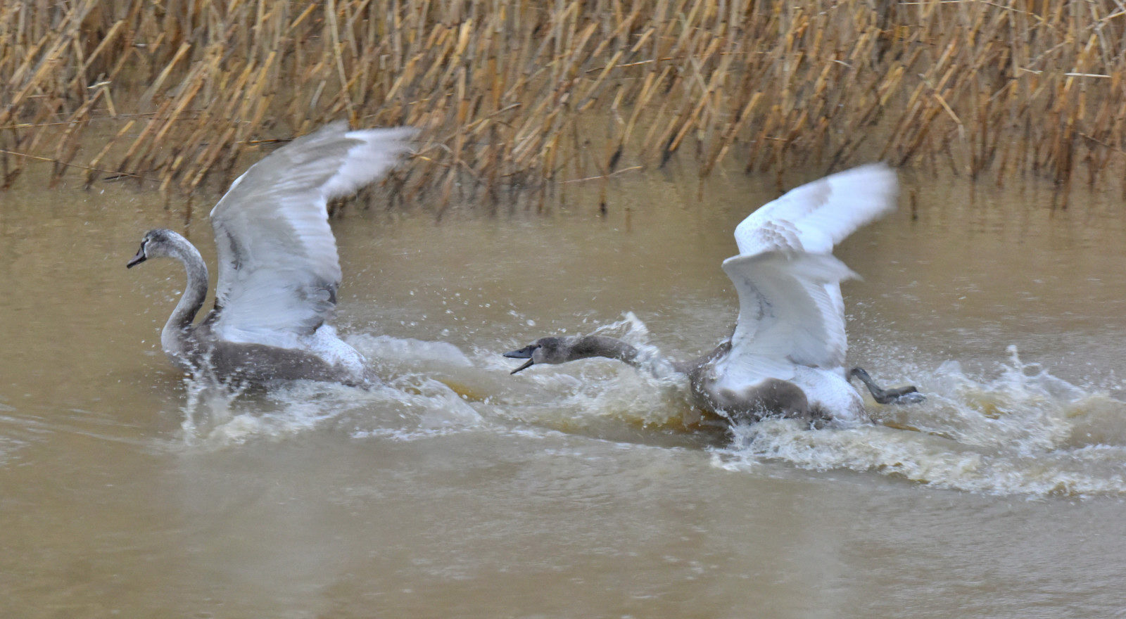 Valokuvaaja: Reijo Juurinen