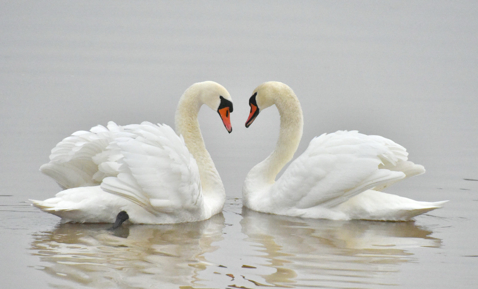 Valokuvaaja: Reijo Juurinen
