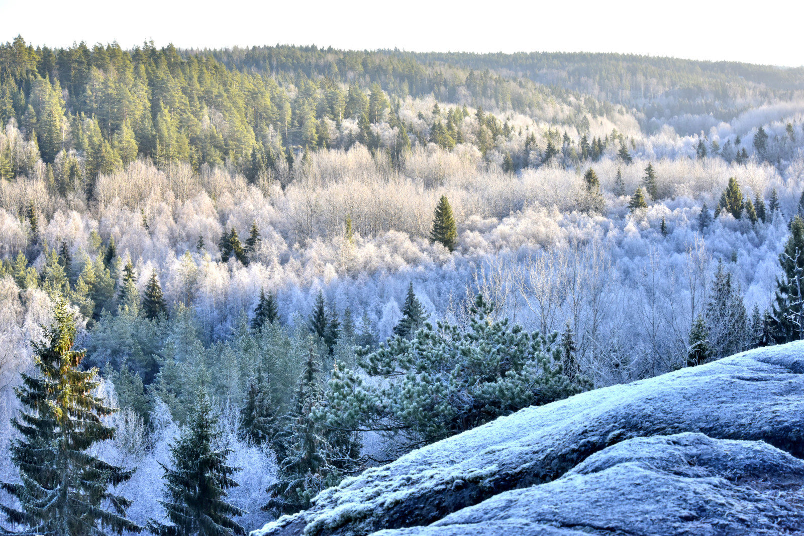 Valokuvaaja: Reijo Juurinen