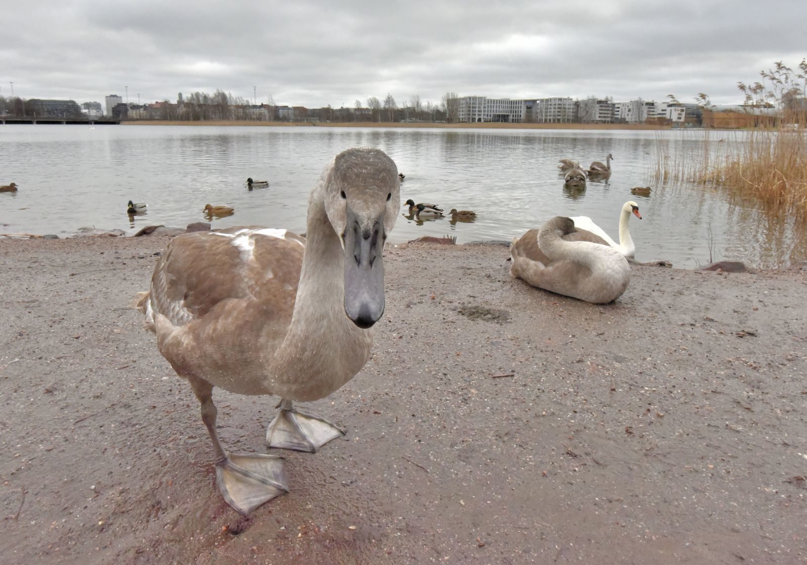 Valokuvaaja: Reijo Juurinen