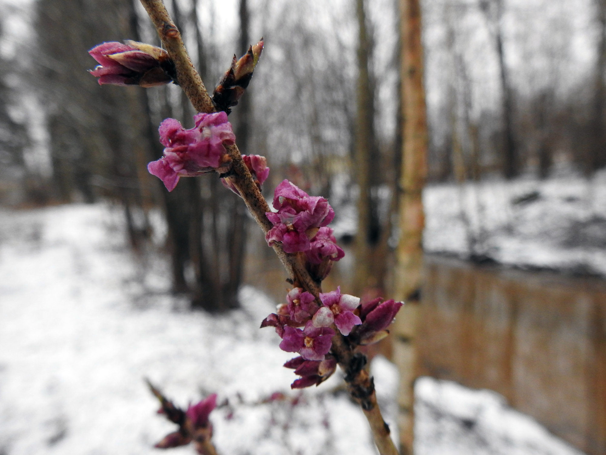 Valokuvaaja: Paavo Siukonen