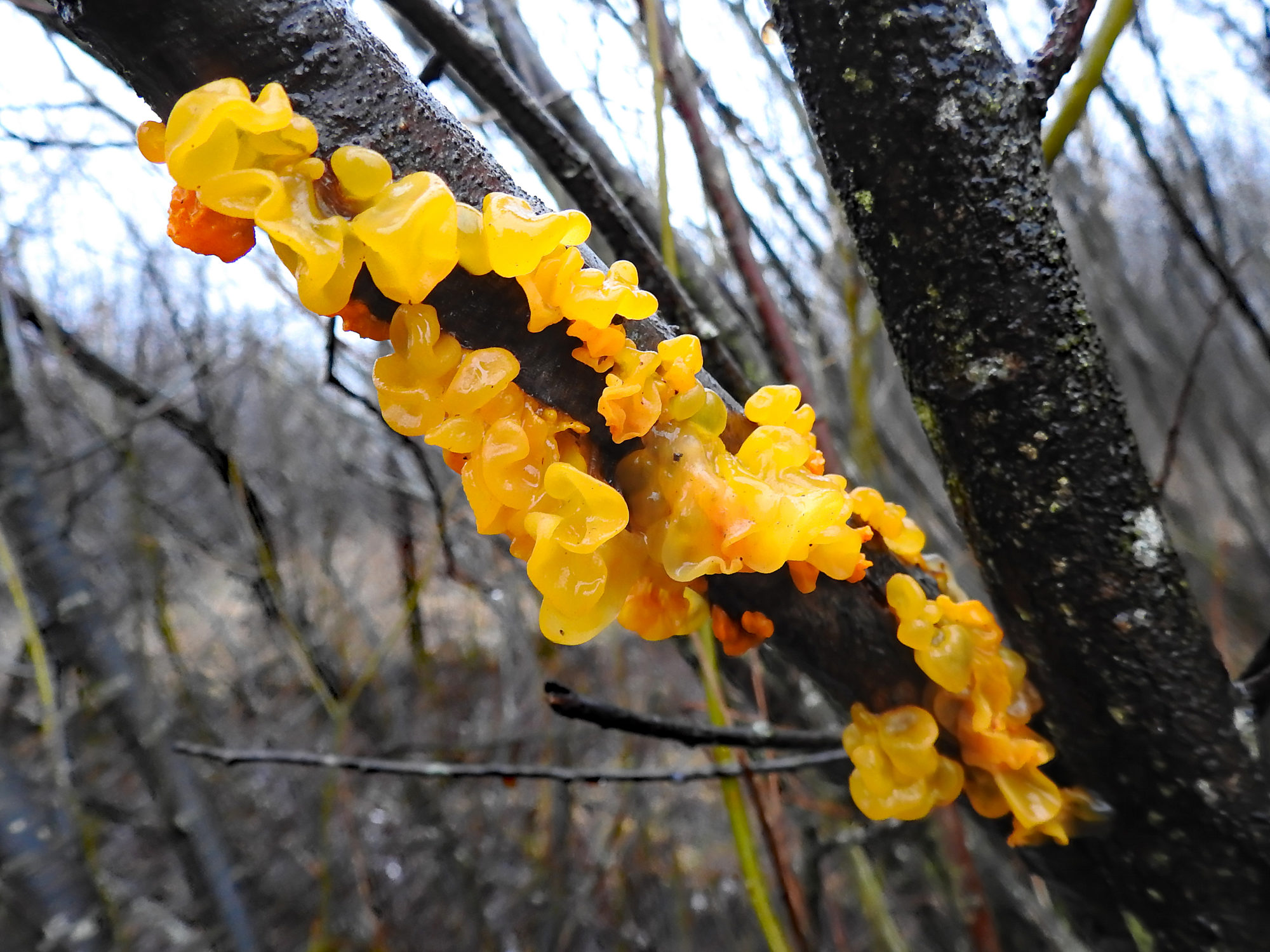 Valokuvaaja: Paavo Siukonen