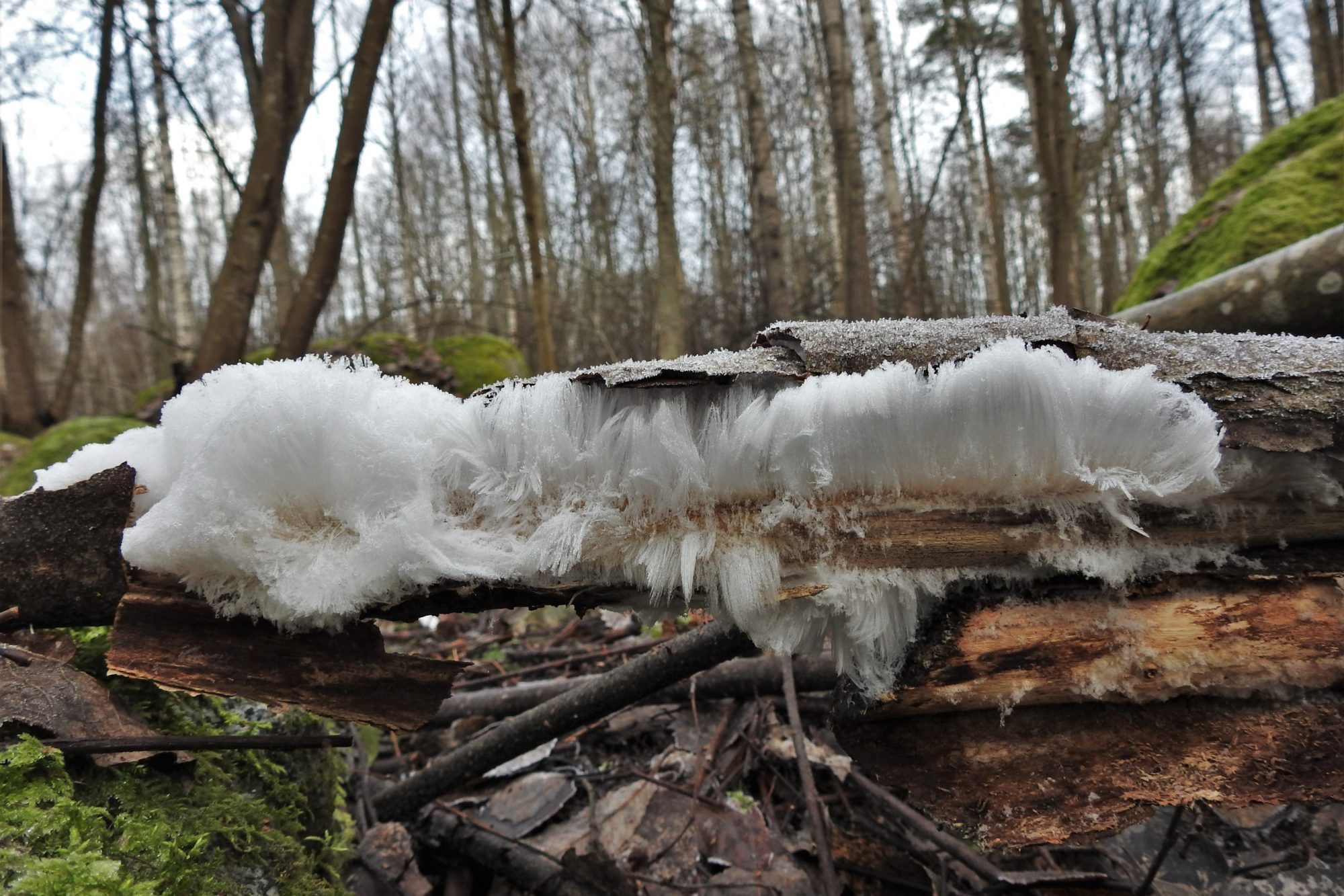 Valokuvaaja: Maarit Siitonen
