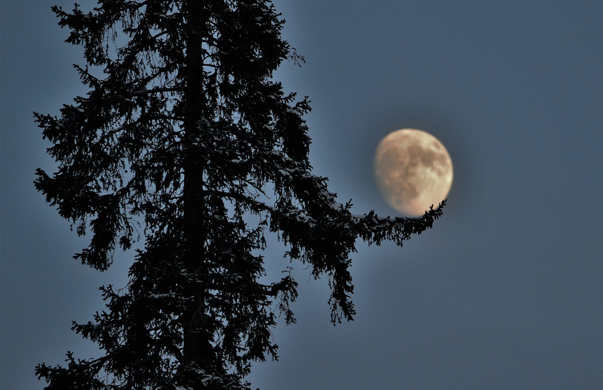 Valokuvaaja: satu välimaa