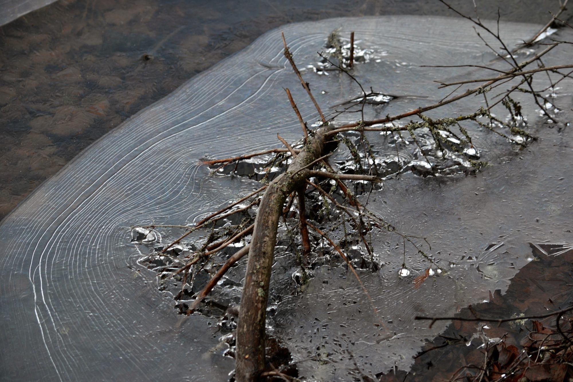 Valokuvaaja: satu välimaa