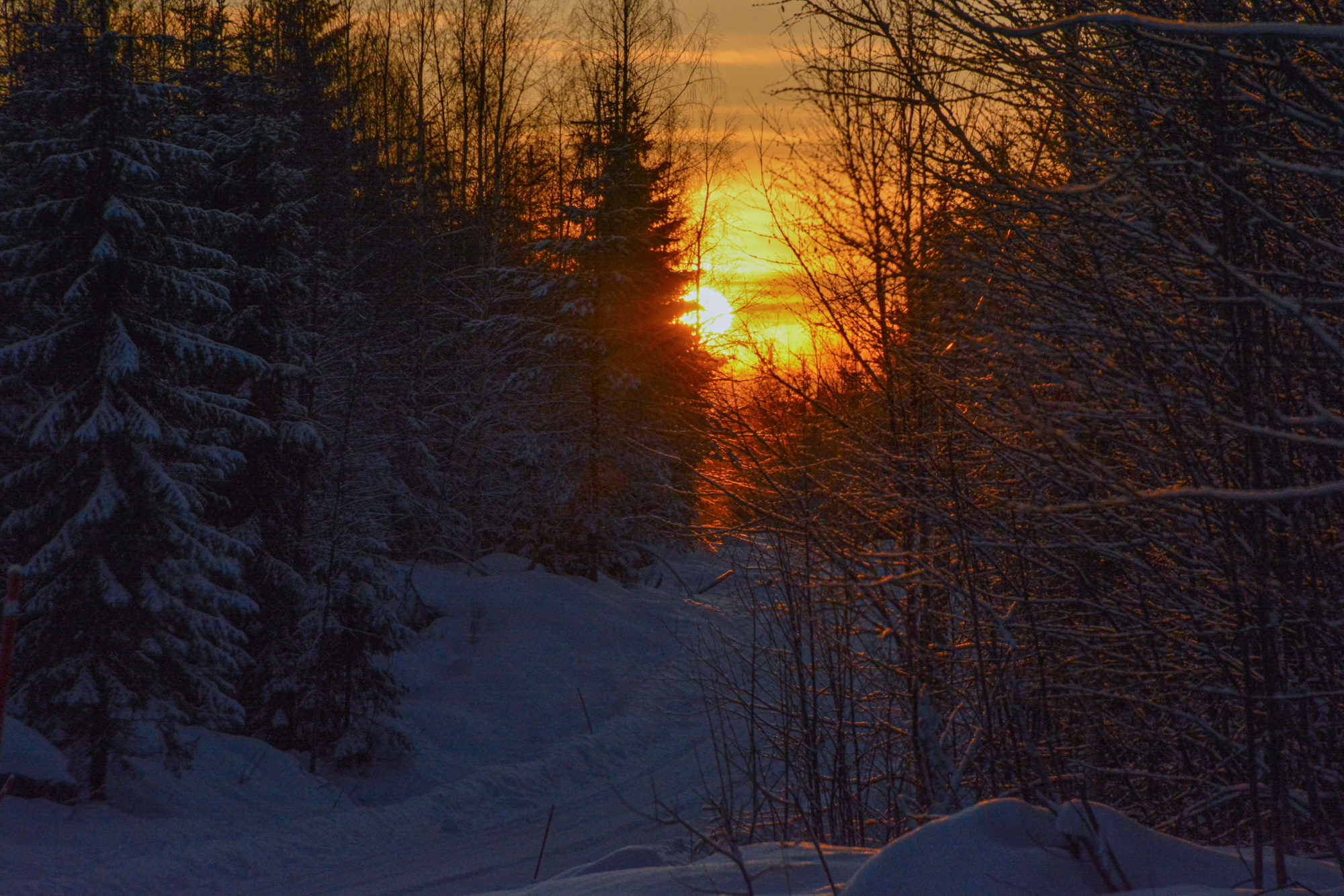 Valokuvaaja: Maija Savolainen