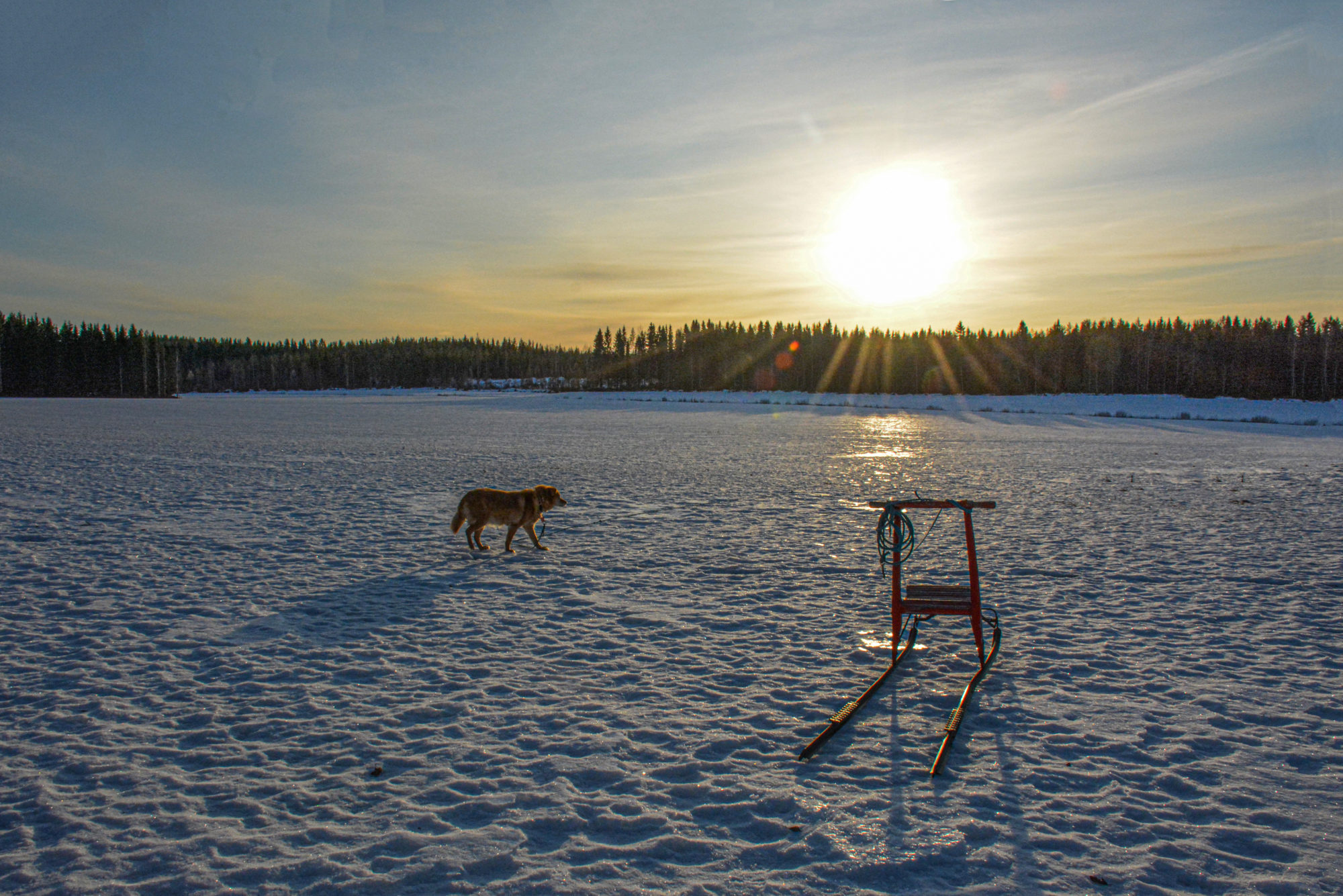 Valokuvaaja: Maija Savolainen