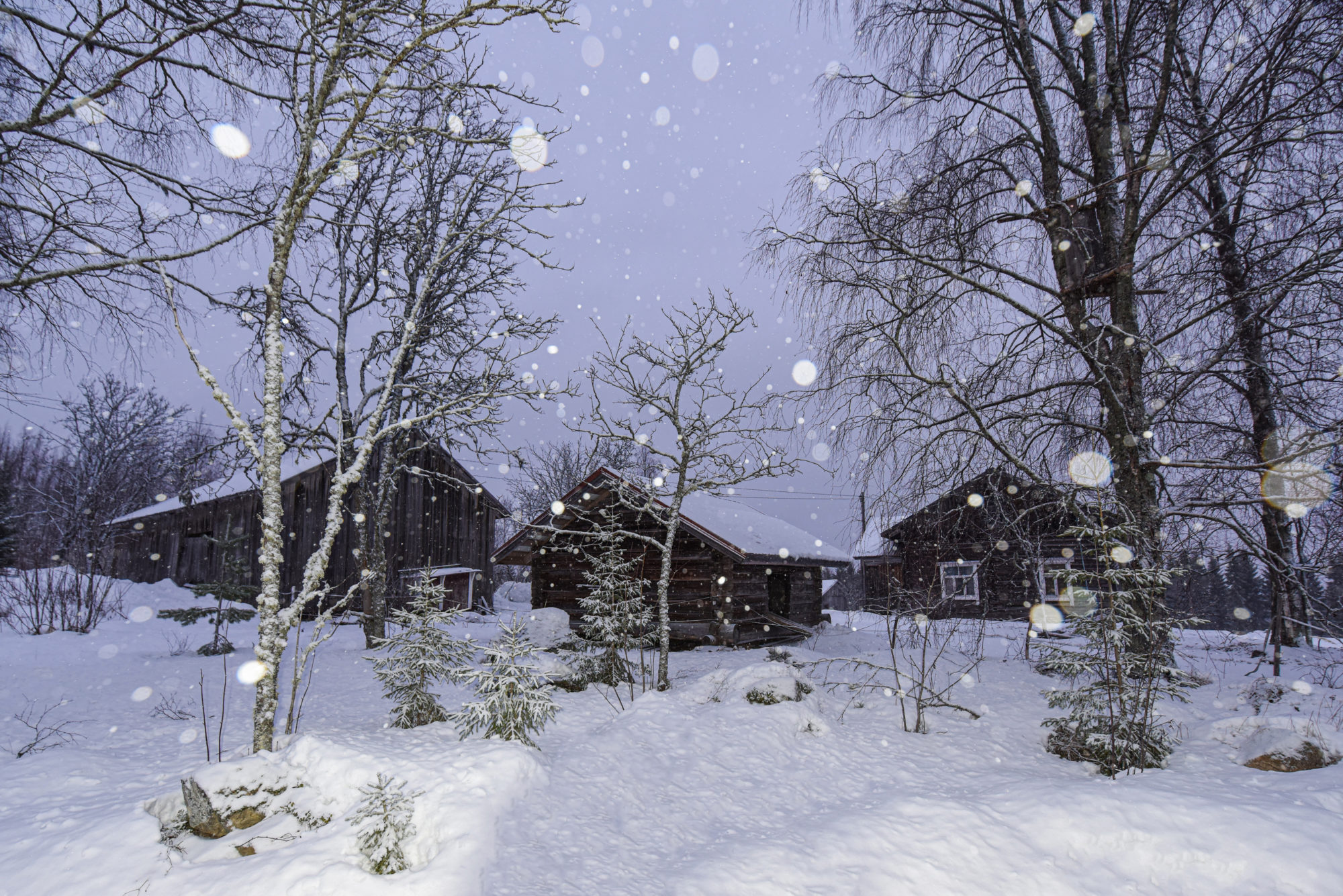 Valokuvaaja: Maija Savolainen Valokuvaaja: Maija Savolainen