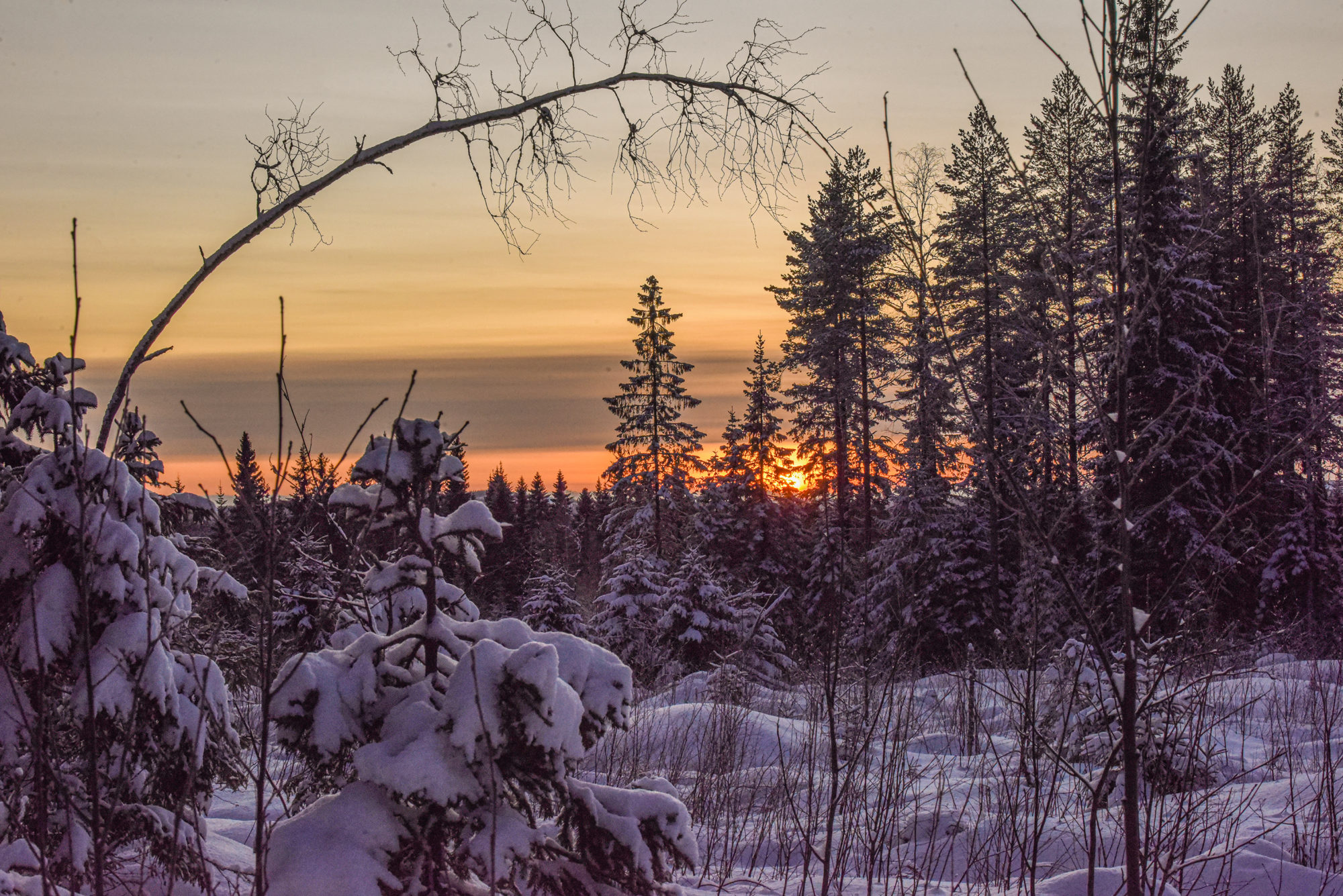 Valokuvaaja: Maija Savolainen