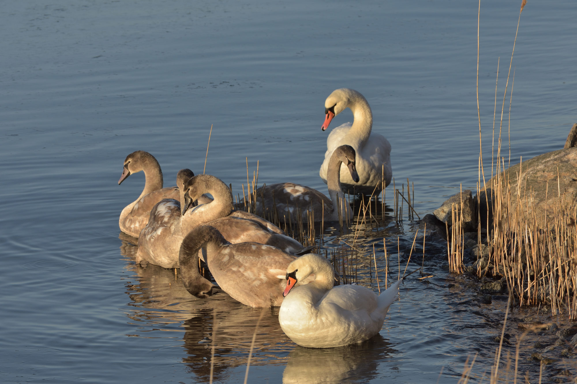 Valokuvaaja: Asko Heikkinen