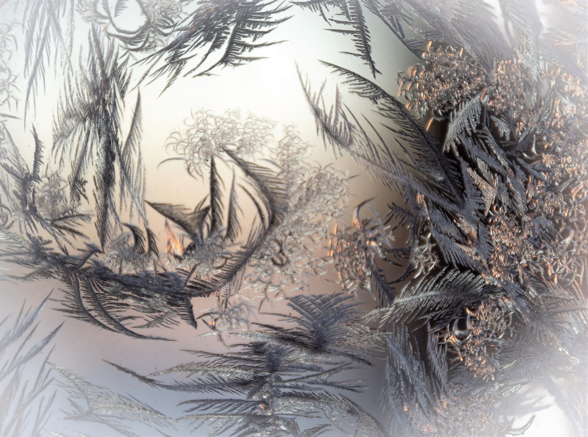 Valokuvaaja: Leena Rissanen