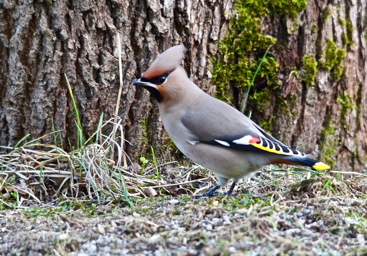 Valokuvaaja: Markku Ranta-Eilola