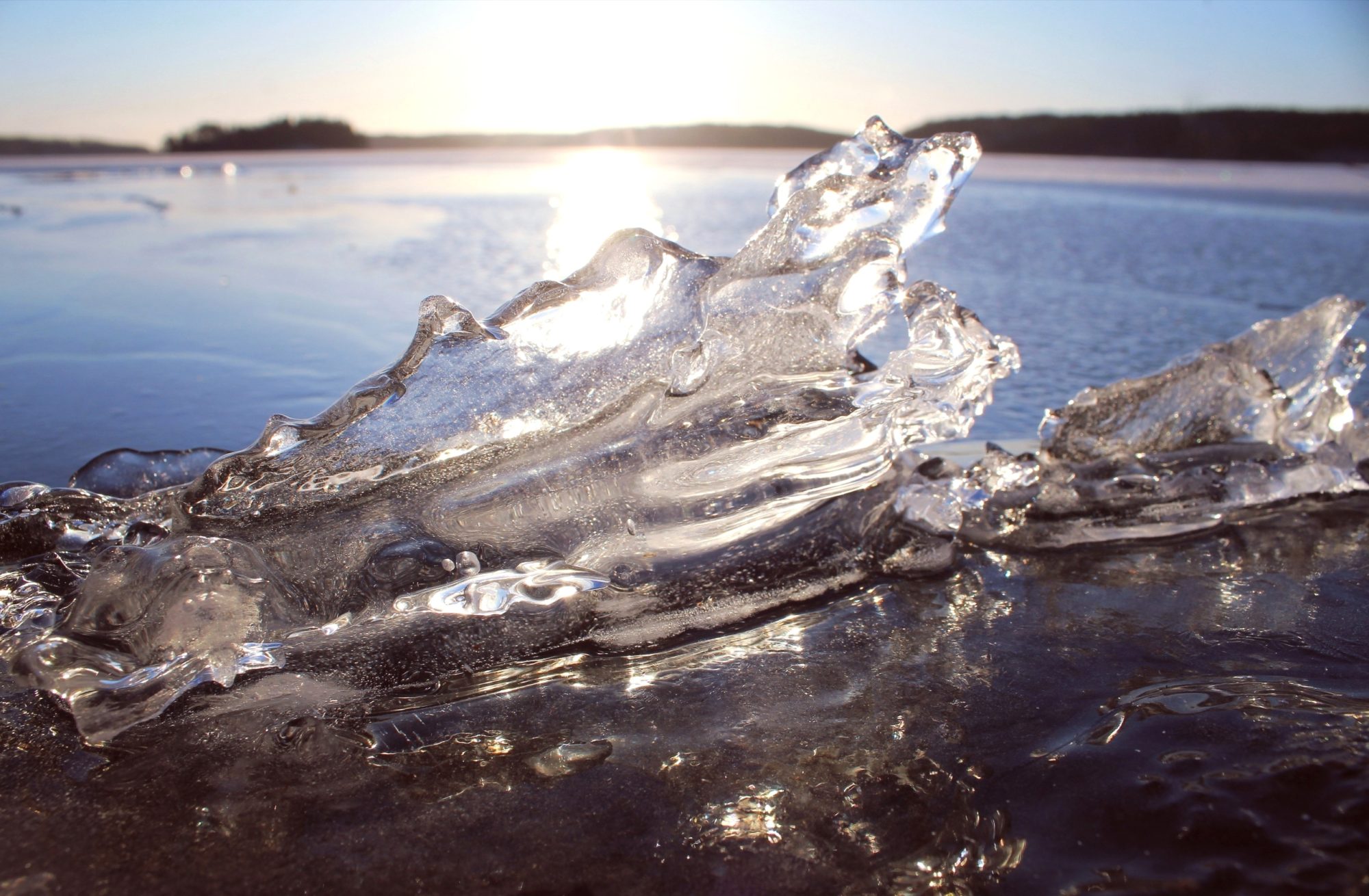 Valokuvaaja: Paula Savelius