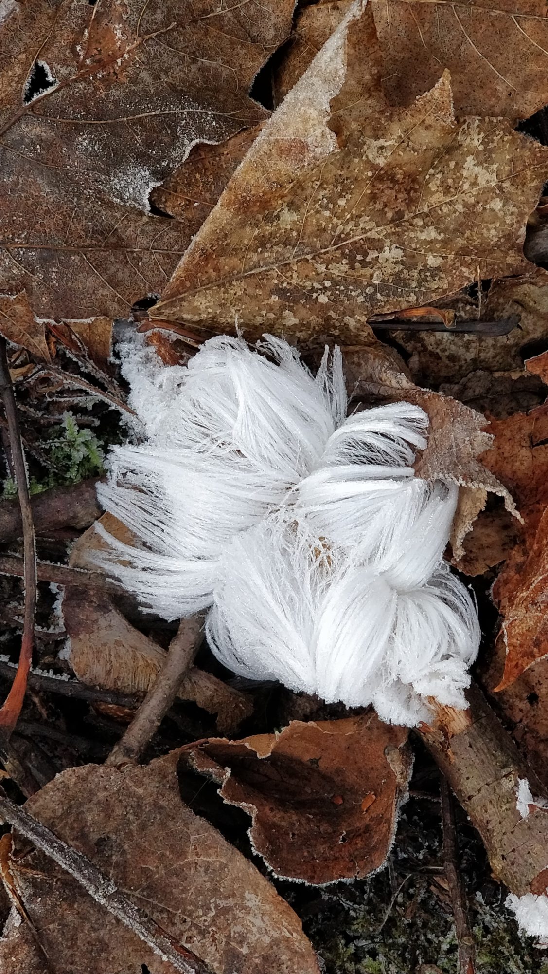 Valokuvaaja: Kaarina Kauppinen