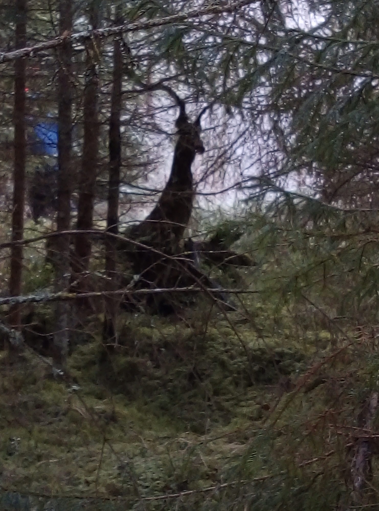 Valokuvaaja: Marja Suvanto